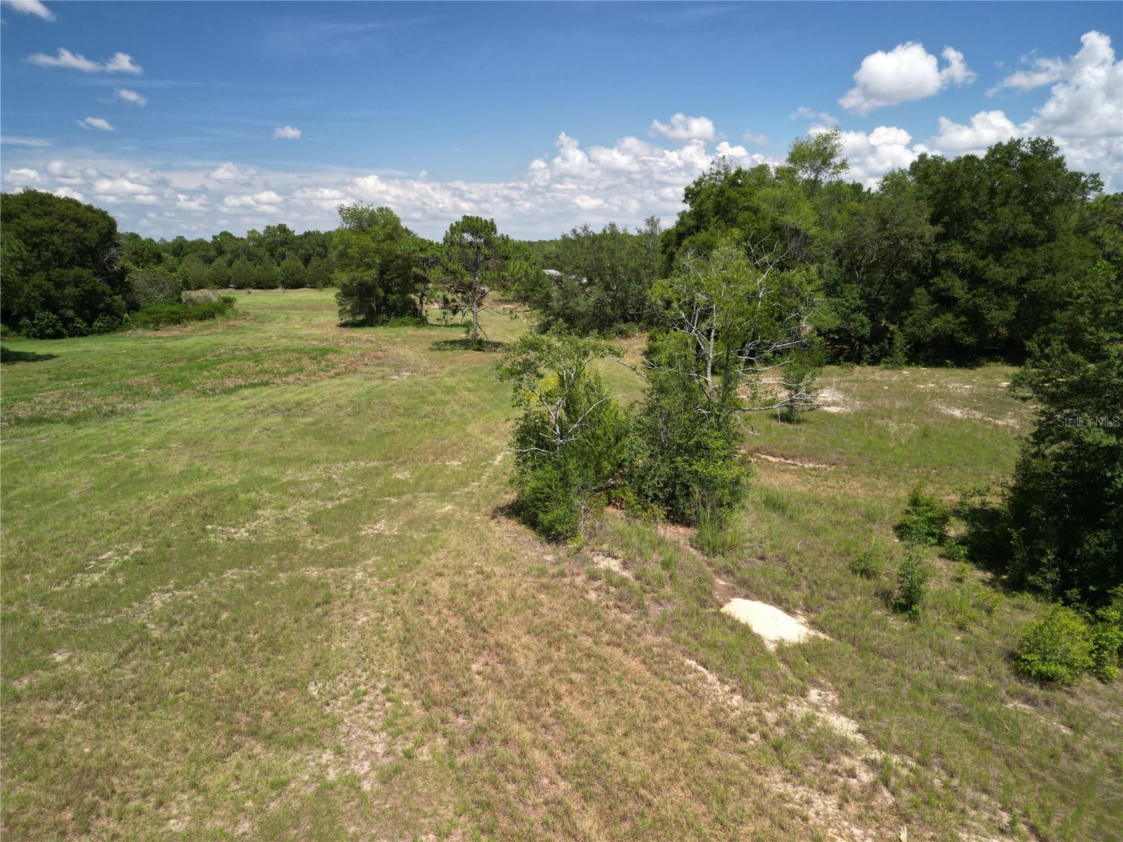 Image 10 of 91 For 300 Croft Avenue