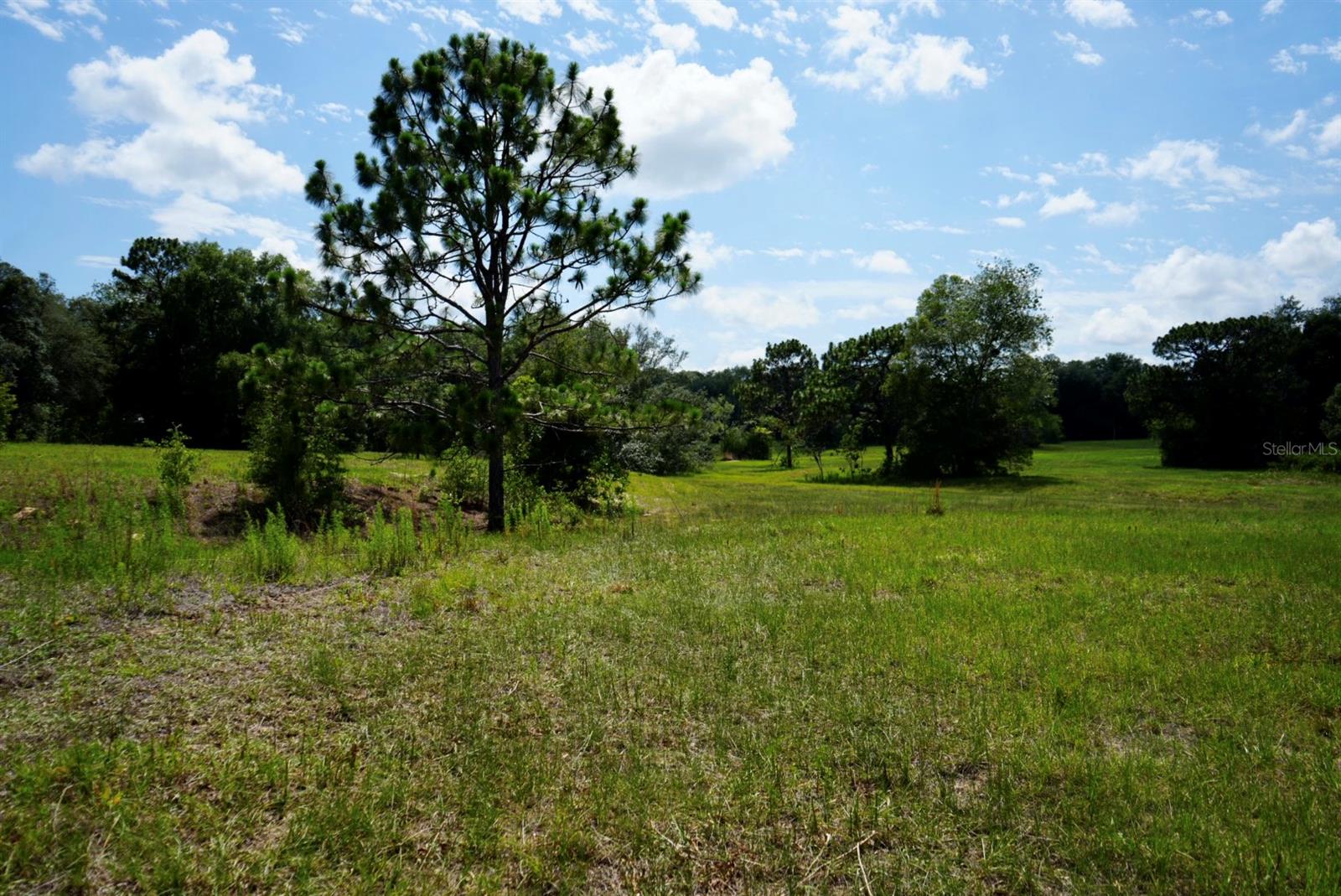 Image 67 of 91 For 300 Croft Avenue