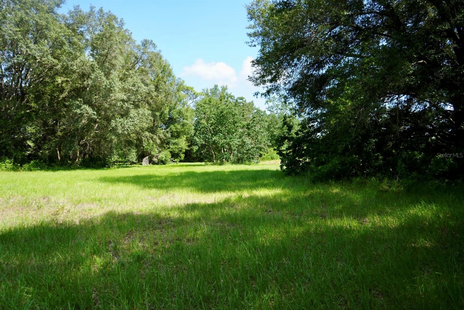 Image 80 of 91 For 300 Croft Avenue