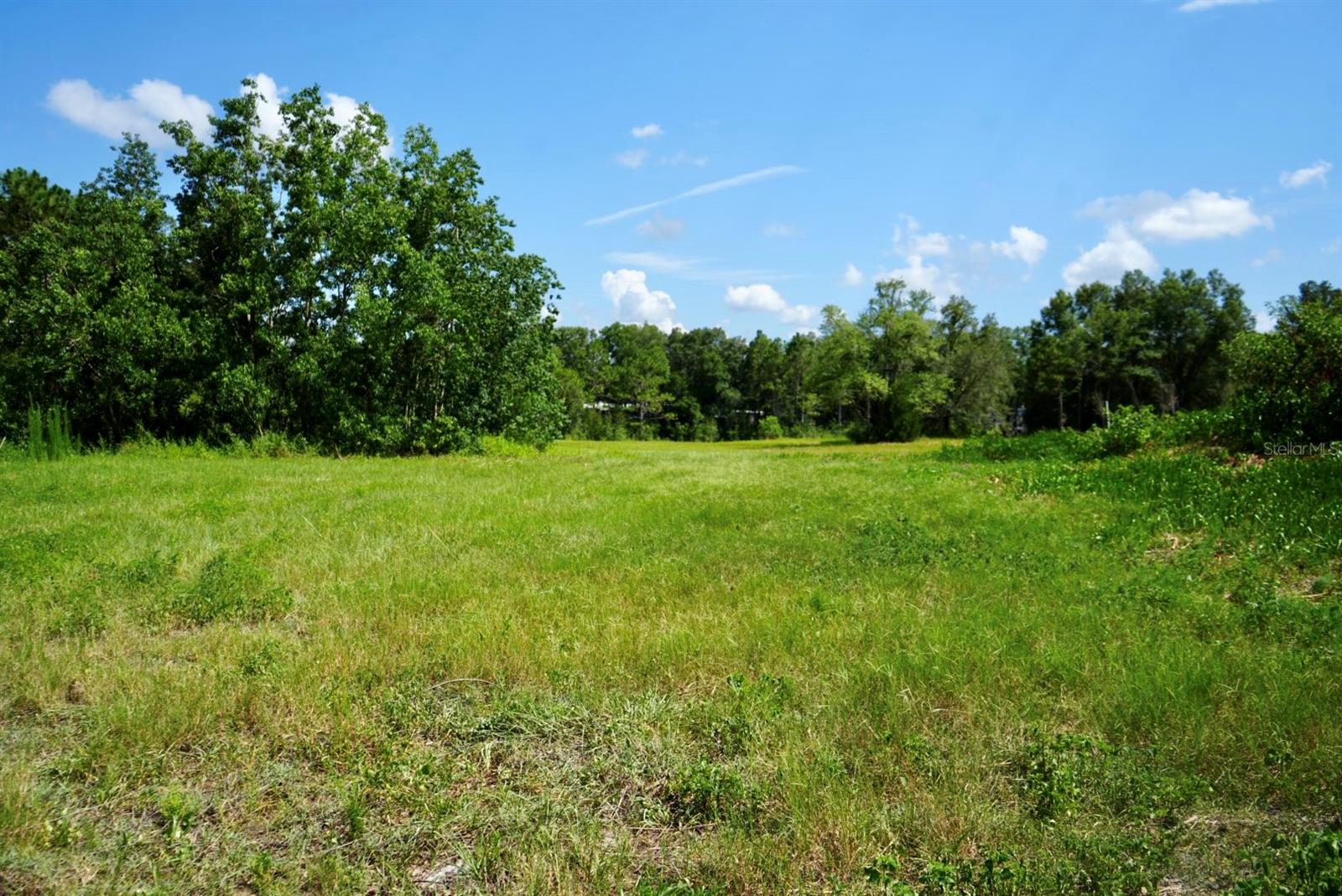 Image 82 of 91 For 300 Croft Avenue