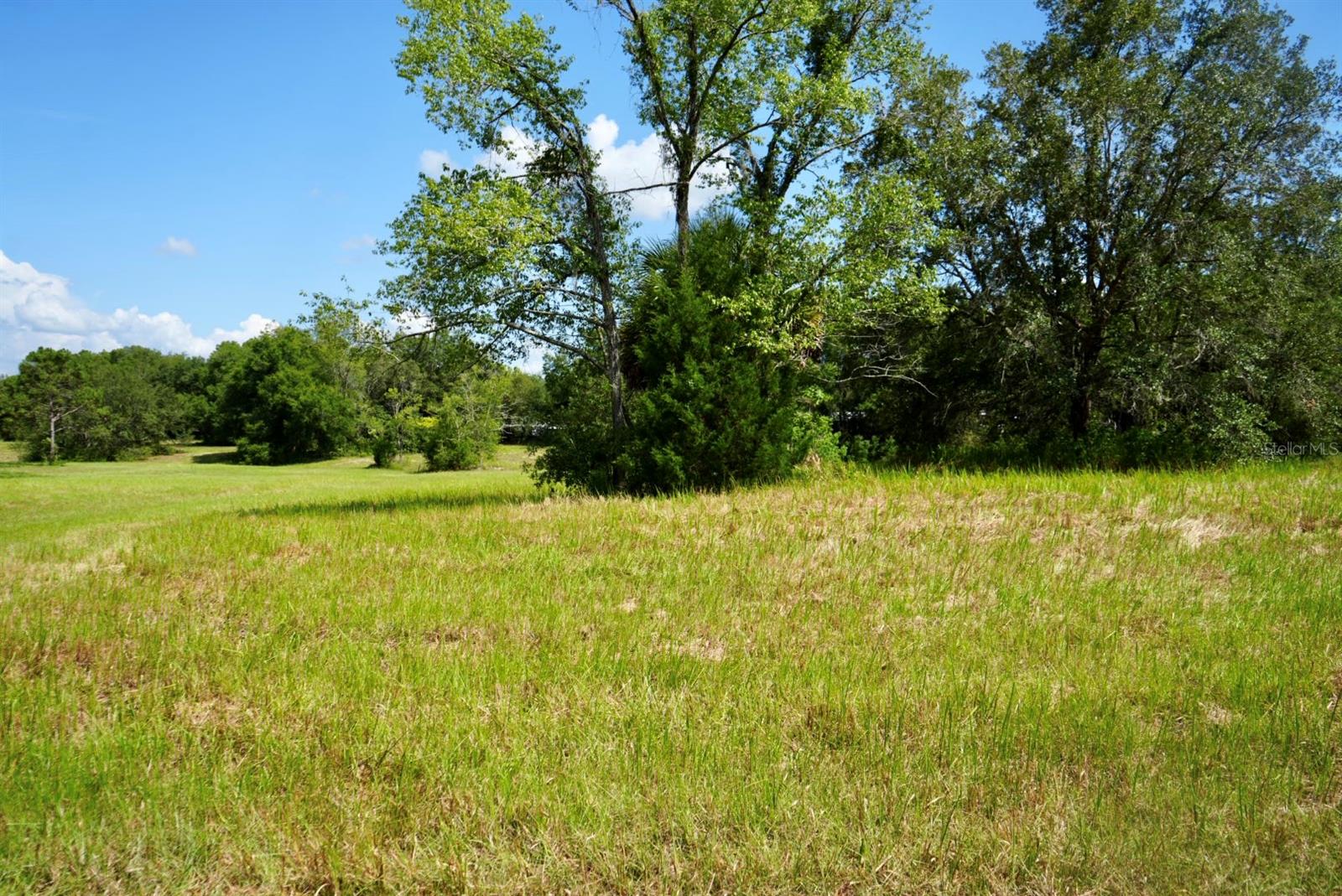 Image 86 of 91 For 300 Croft Avenue