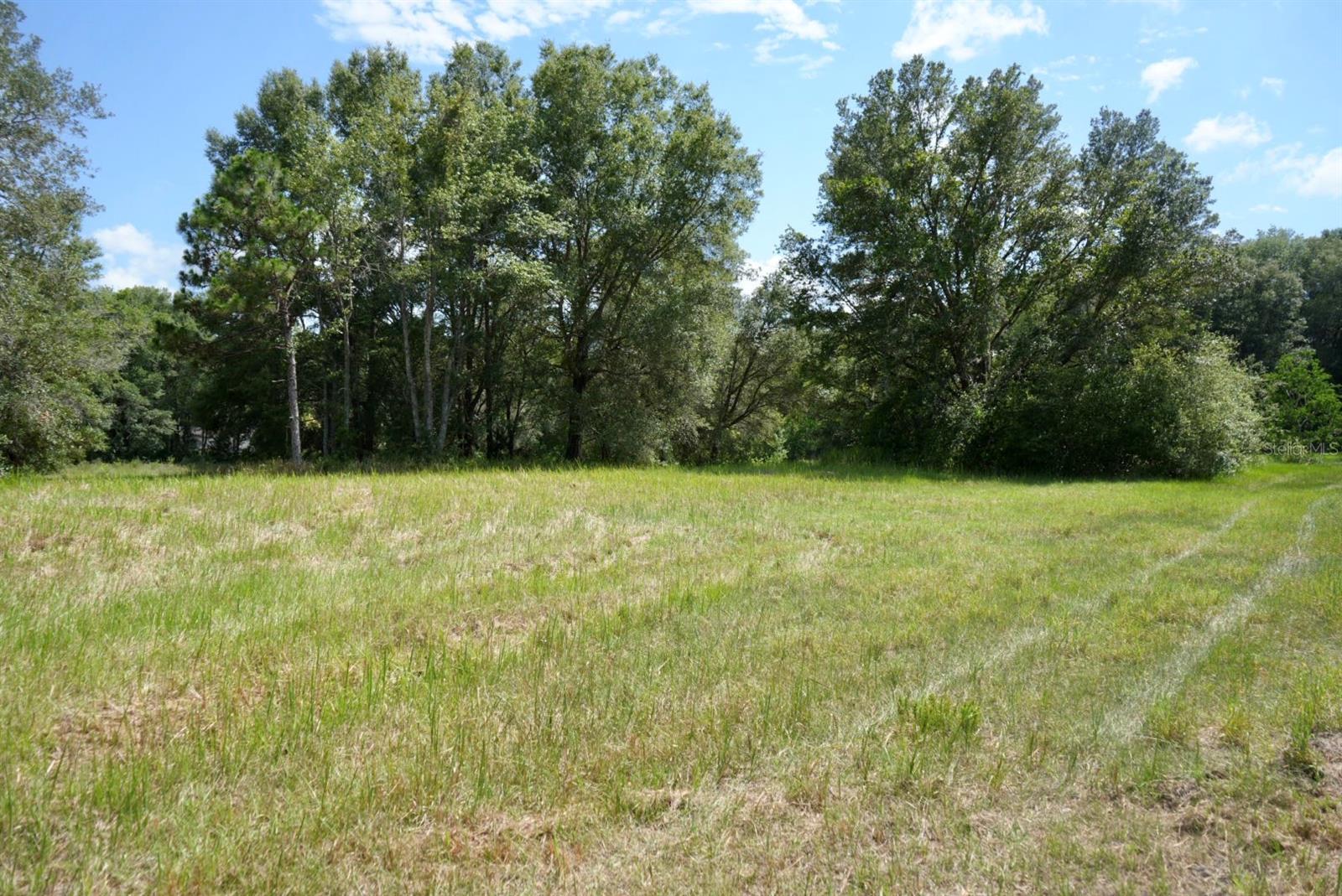 Image 87 of 91 For 300 Croft Avenue