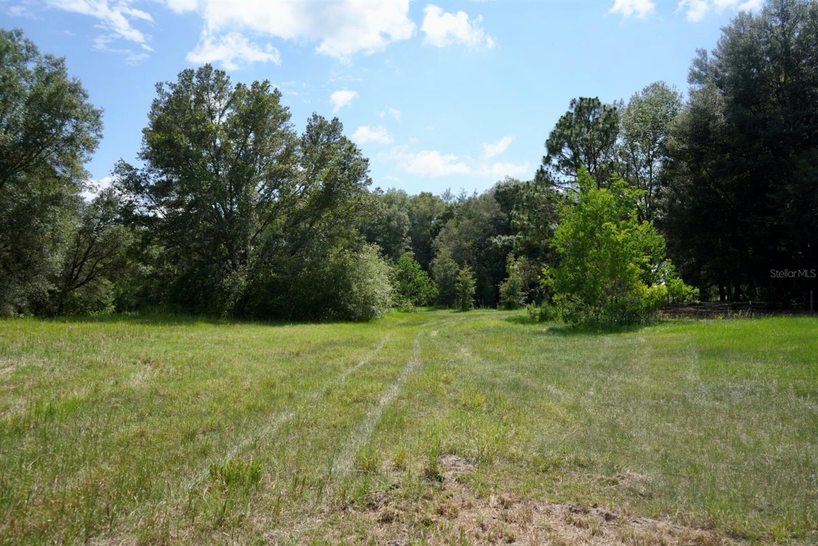 Image 88 of 91 For 300 Croft Avenue