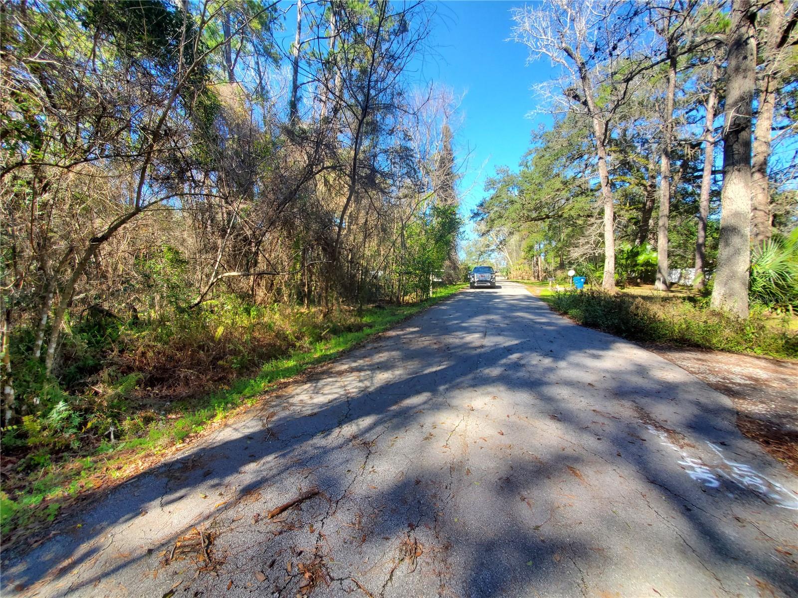 Image 9 of 12 For Cortez Boulevard