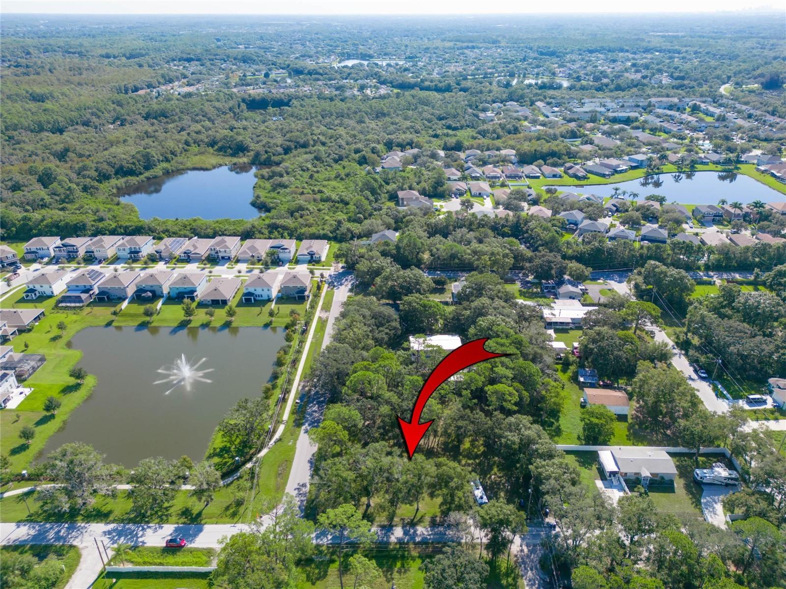 Details for 8701 Hart Lane, TAMPA, FL 33635