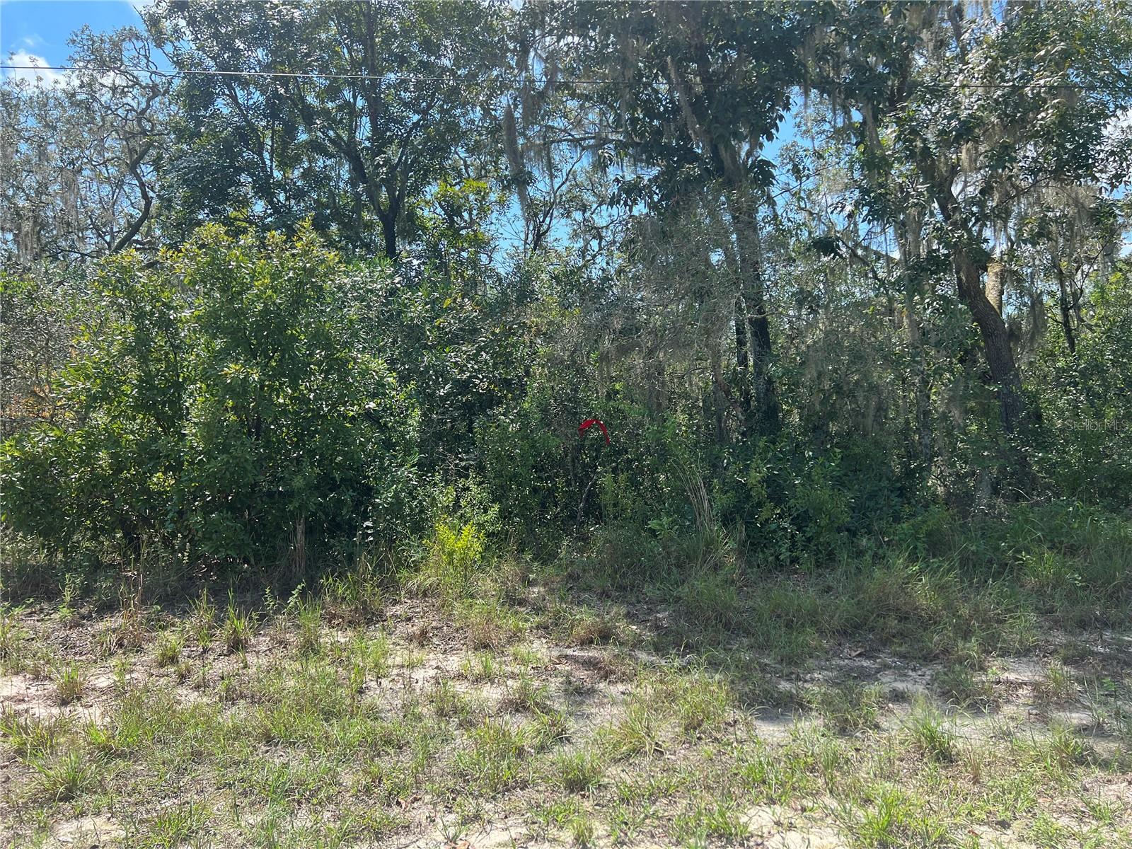 Image 2 of 8 For 0 Riverstone St