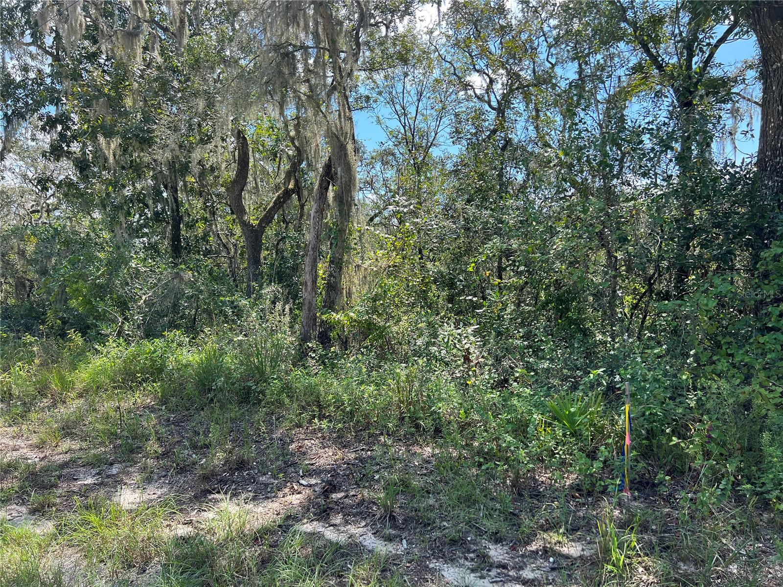 Image 4 of 8 For 0 Riverstone St