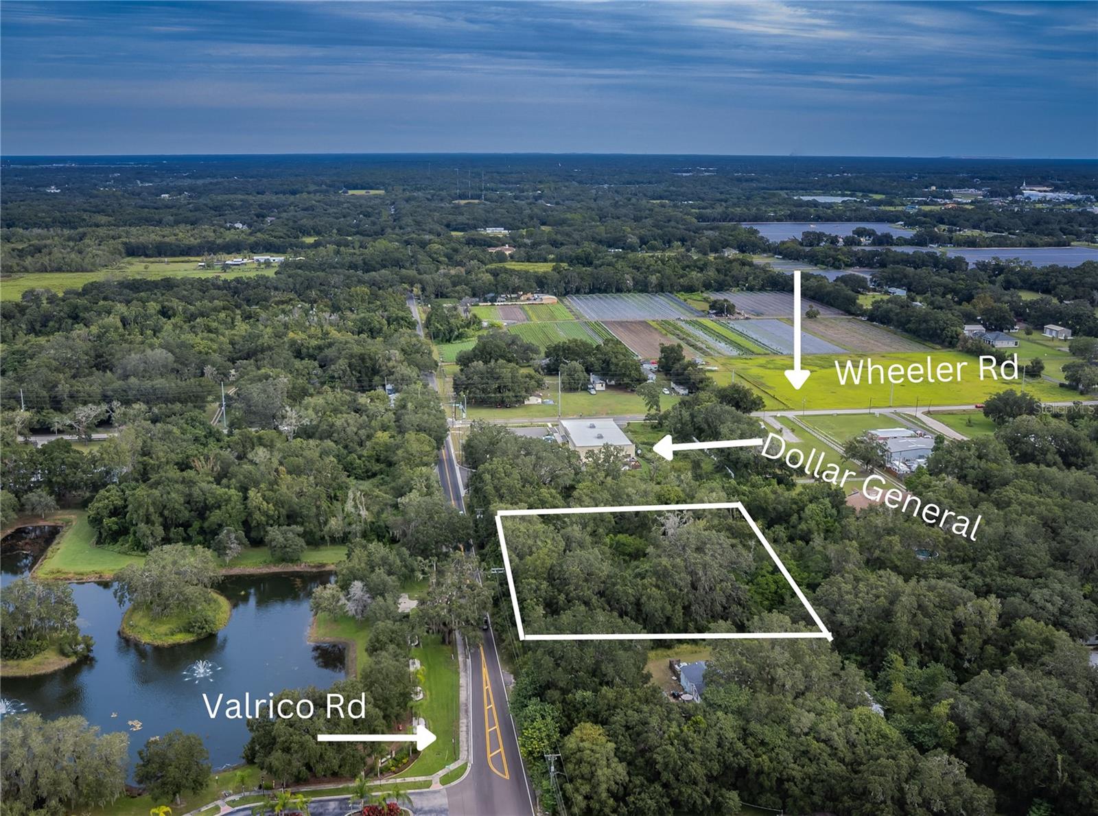 Details for 0 Valrico Road, DOVER, FL 33527