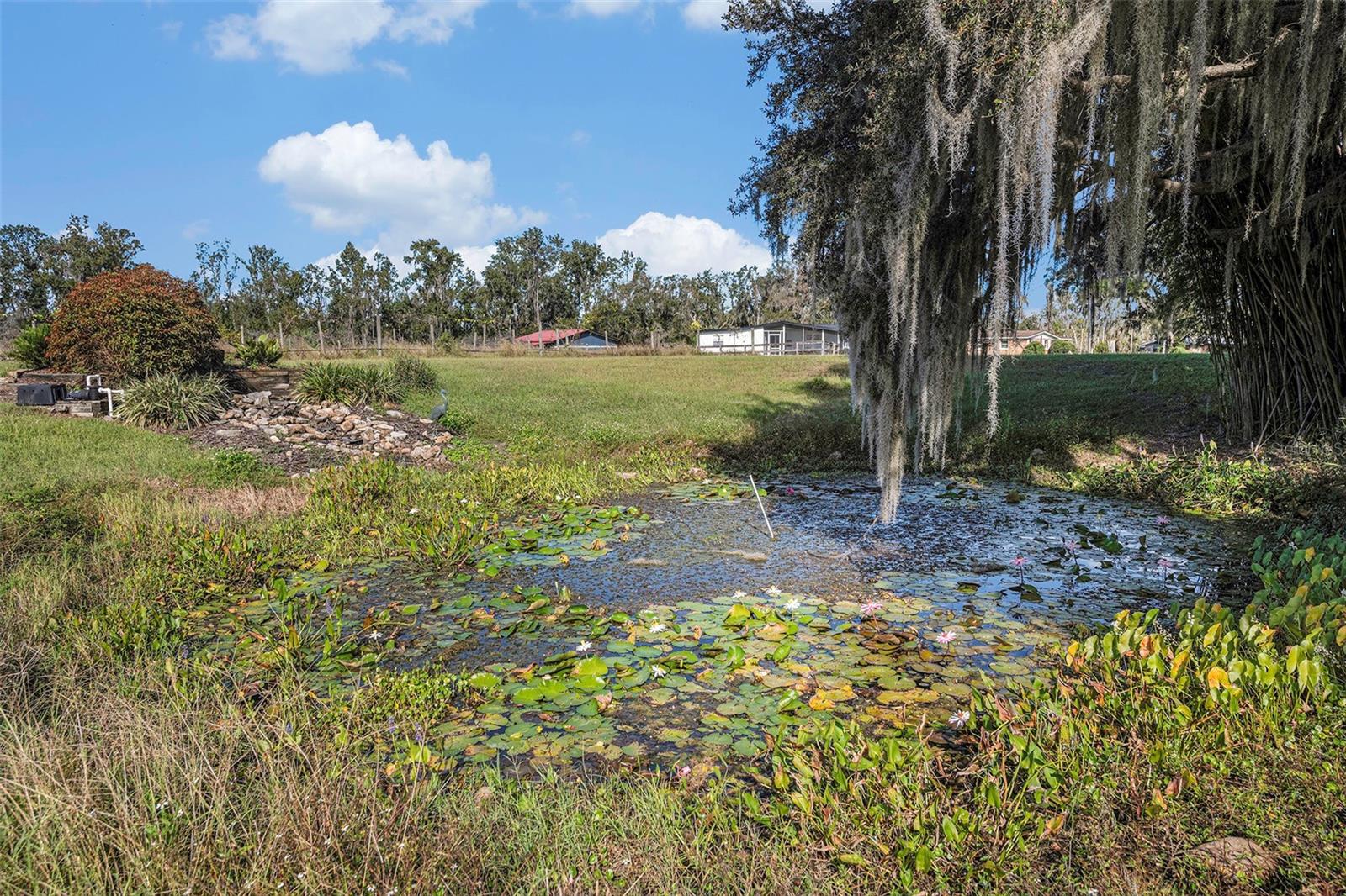 Image 66 of 84 For 331 Lewis Road