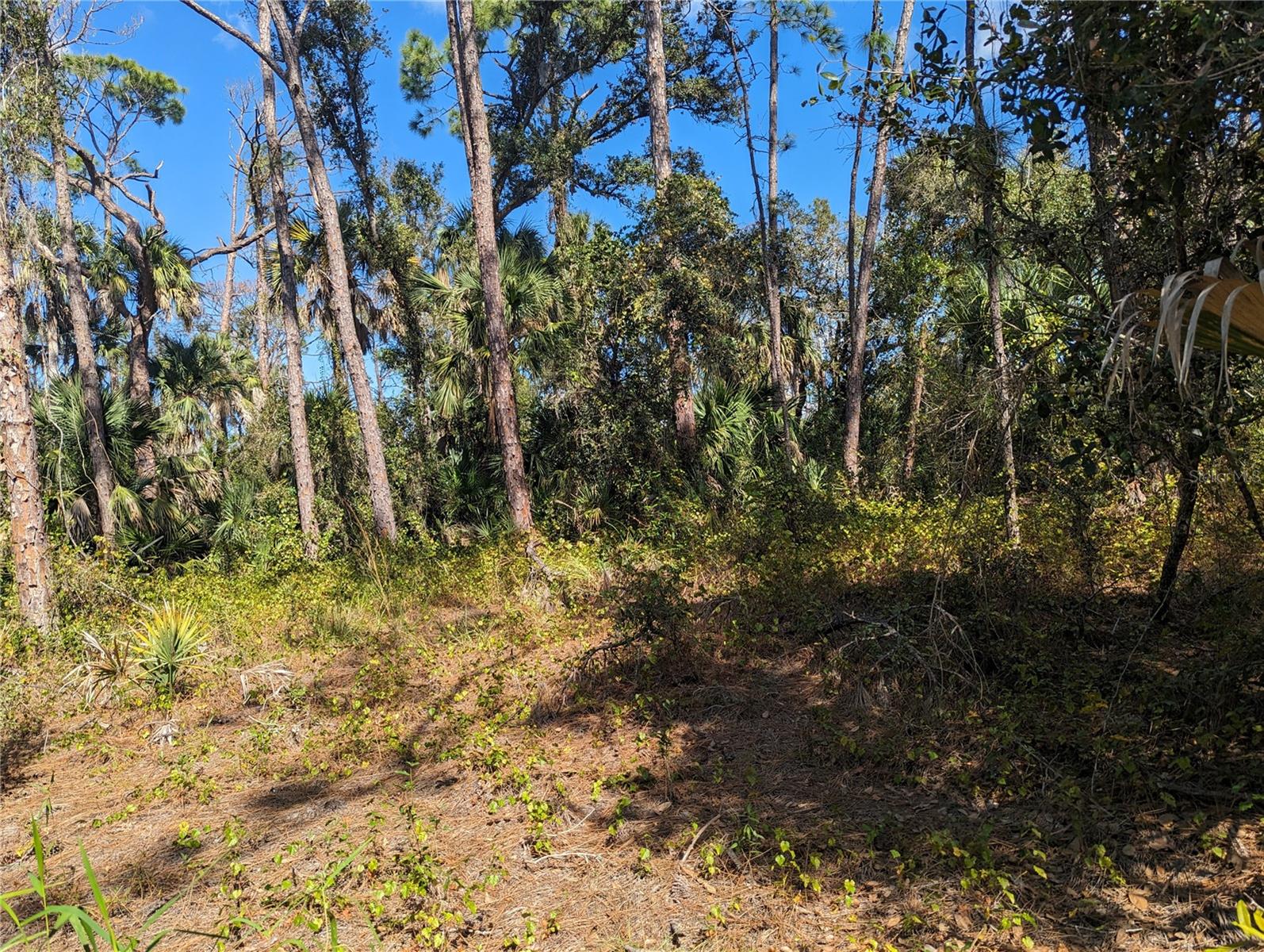 Image 2 of 3 For 0 Apricola Road Lot 14