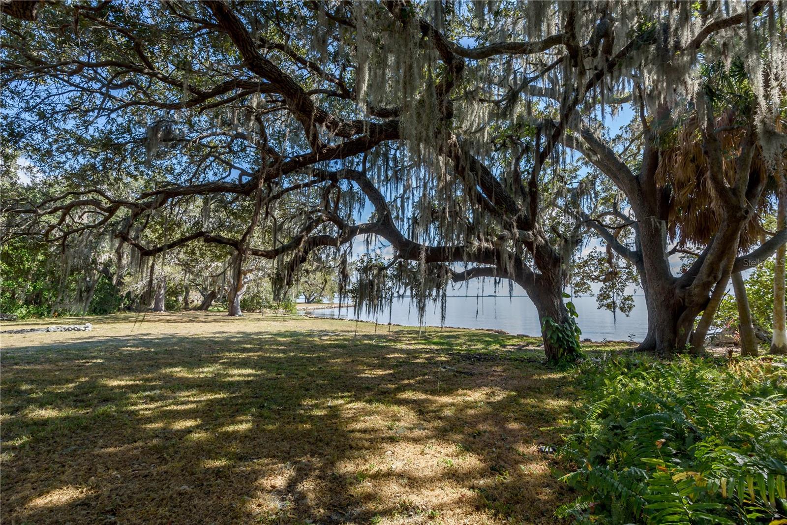 Listing photo id 12 for 6210 Bayshore Boulevard