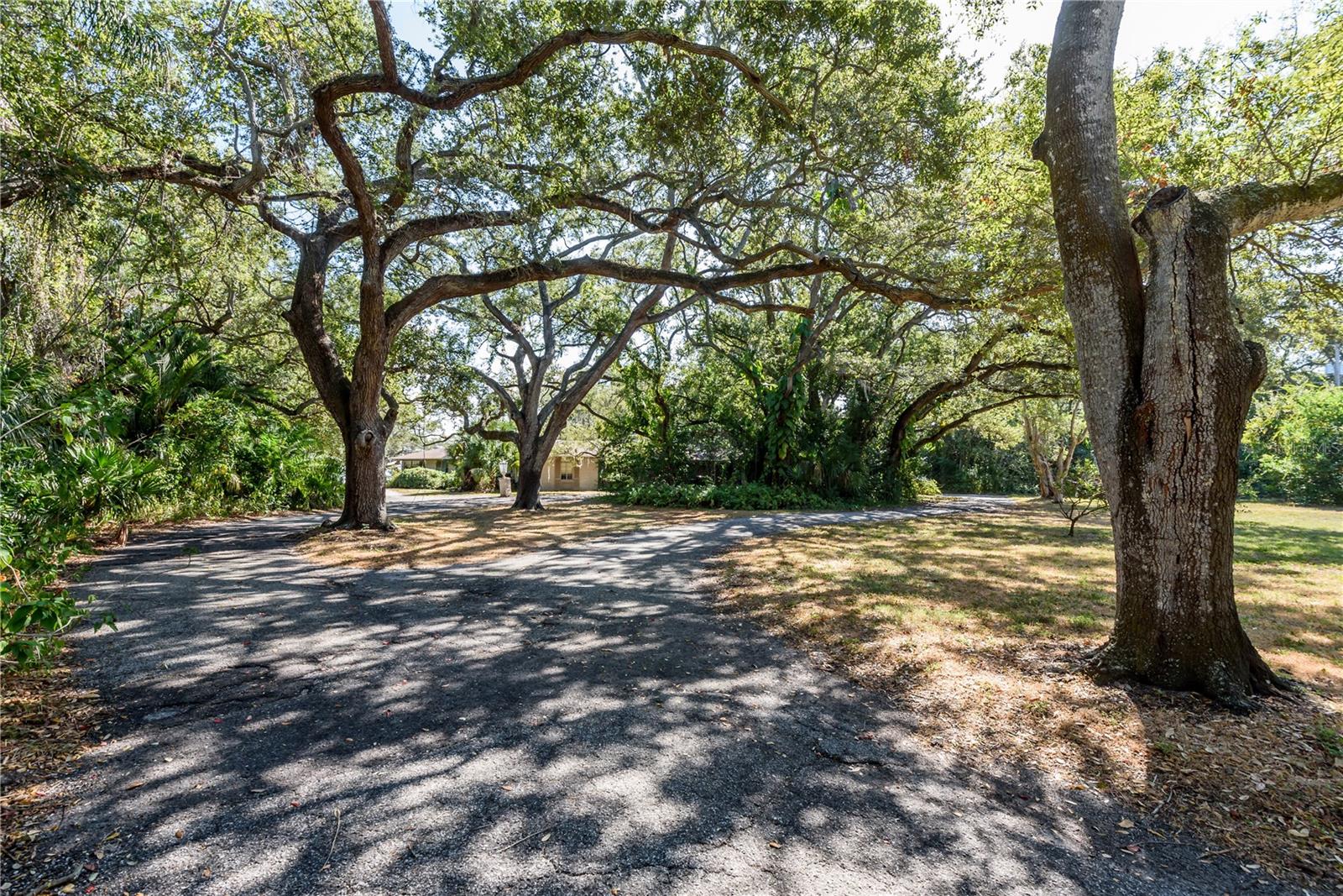 Listing photo id 18 for 6210 Bayshore Boulevard