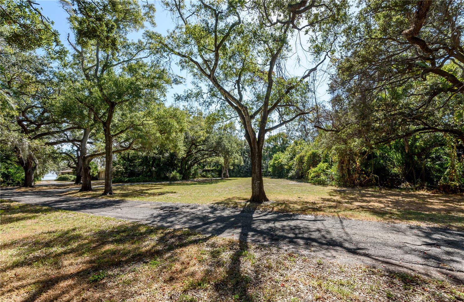 Listing photo id 19 for 6210 Bayshore Boulevard