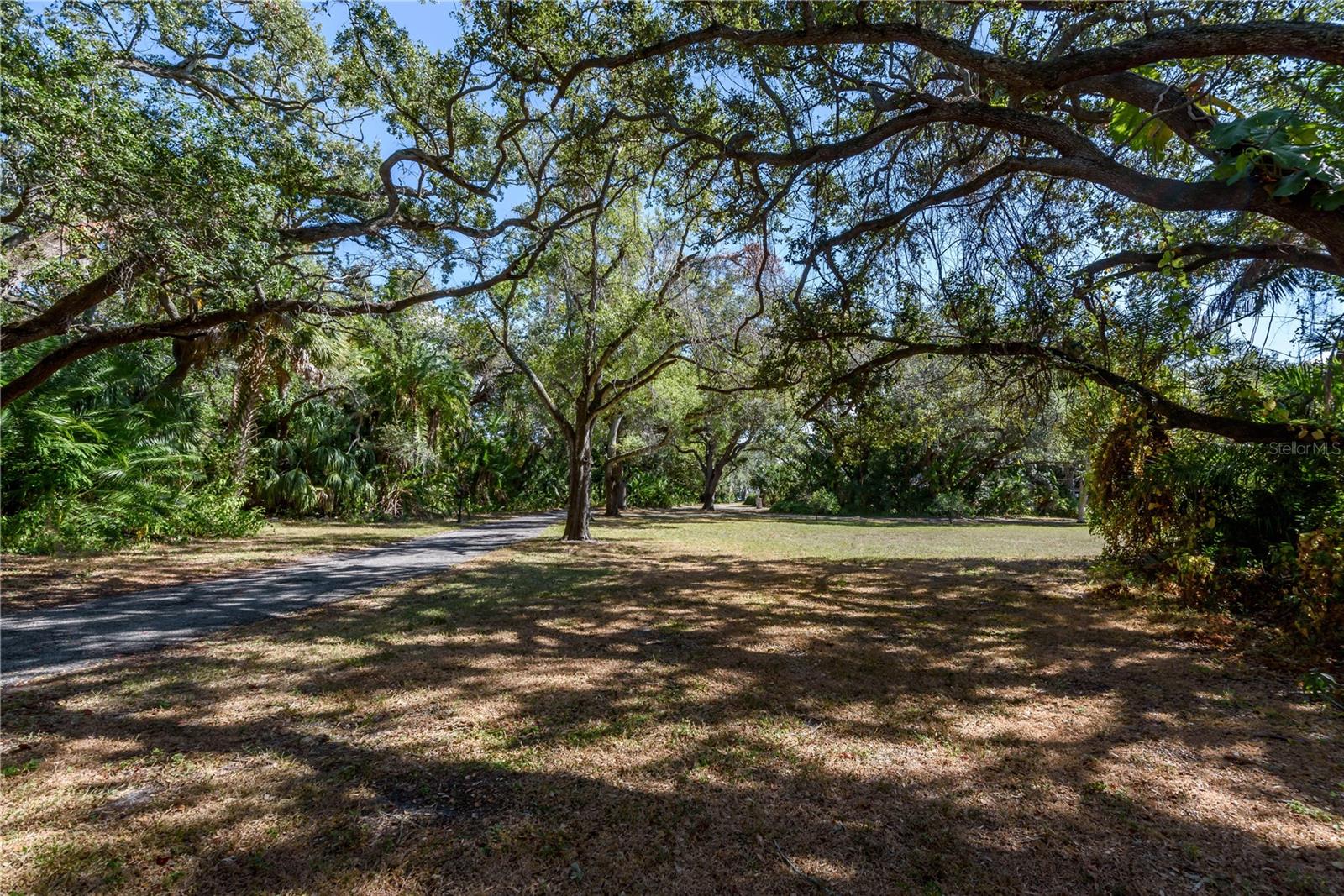 Listing photo id 21 for 6210 Bayshore Boulevard