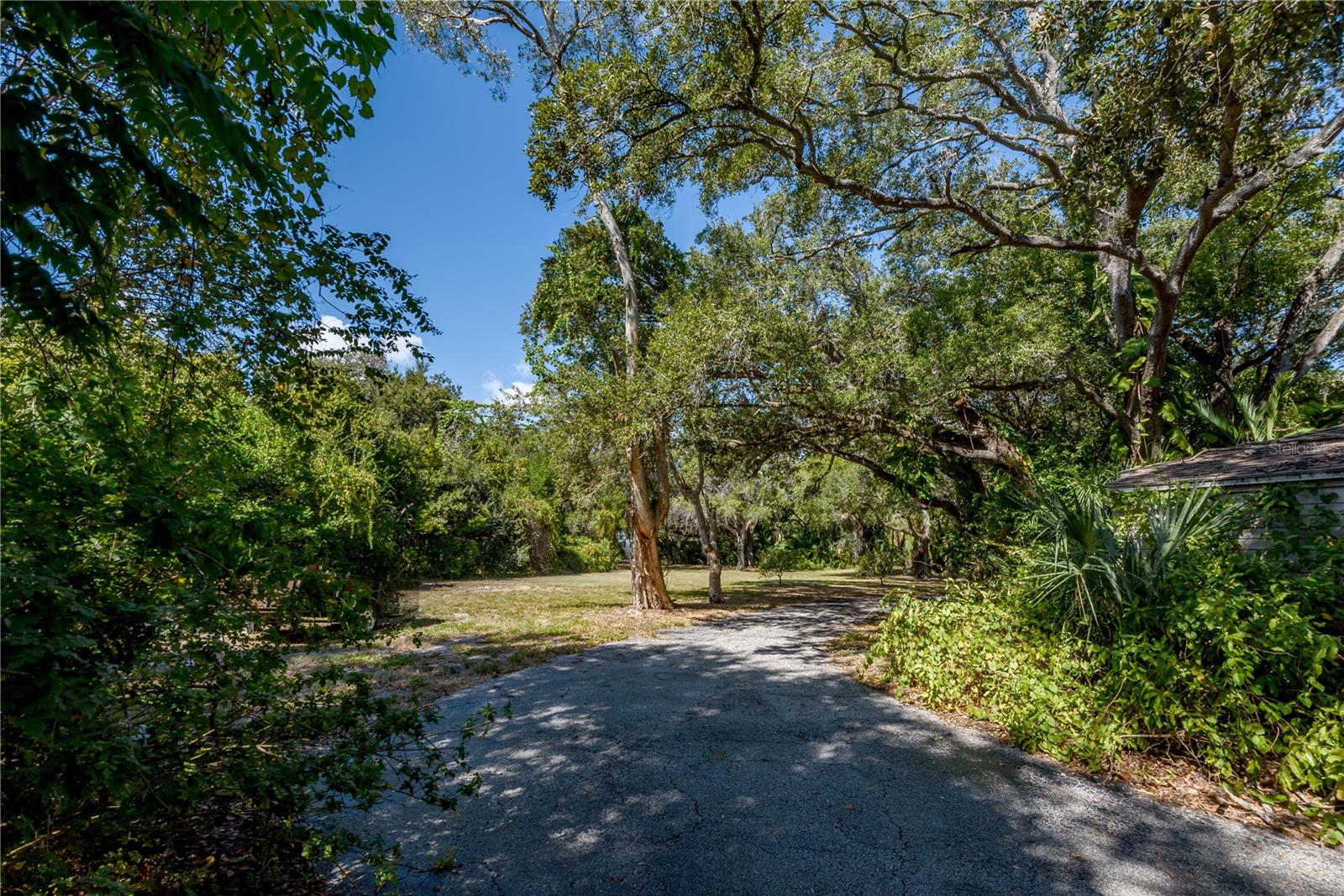 Listing photo id 23 for 6210 Bayshore Boulevard