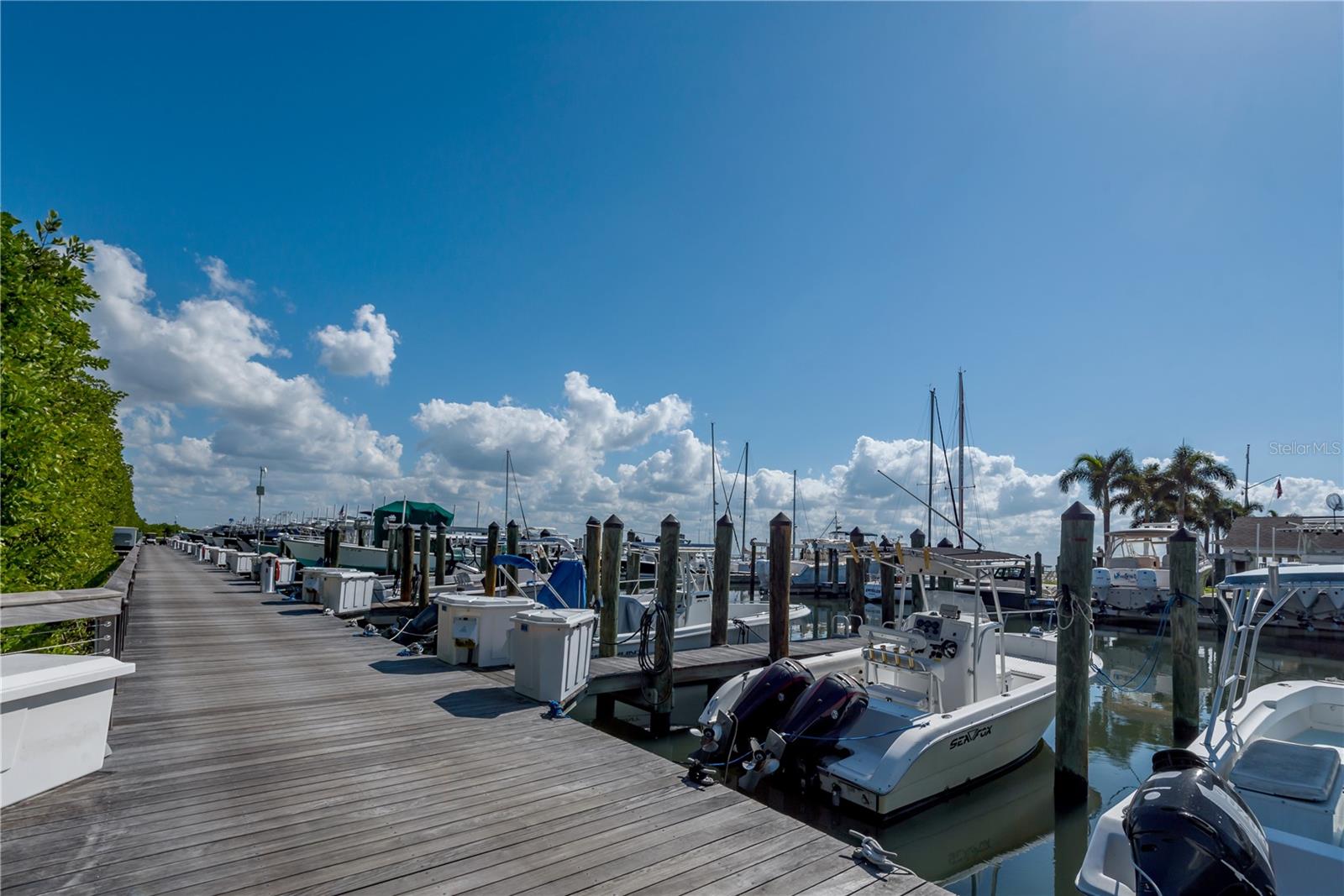 Listing photo id 26 for 6210 Bayshore Boulevard