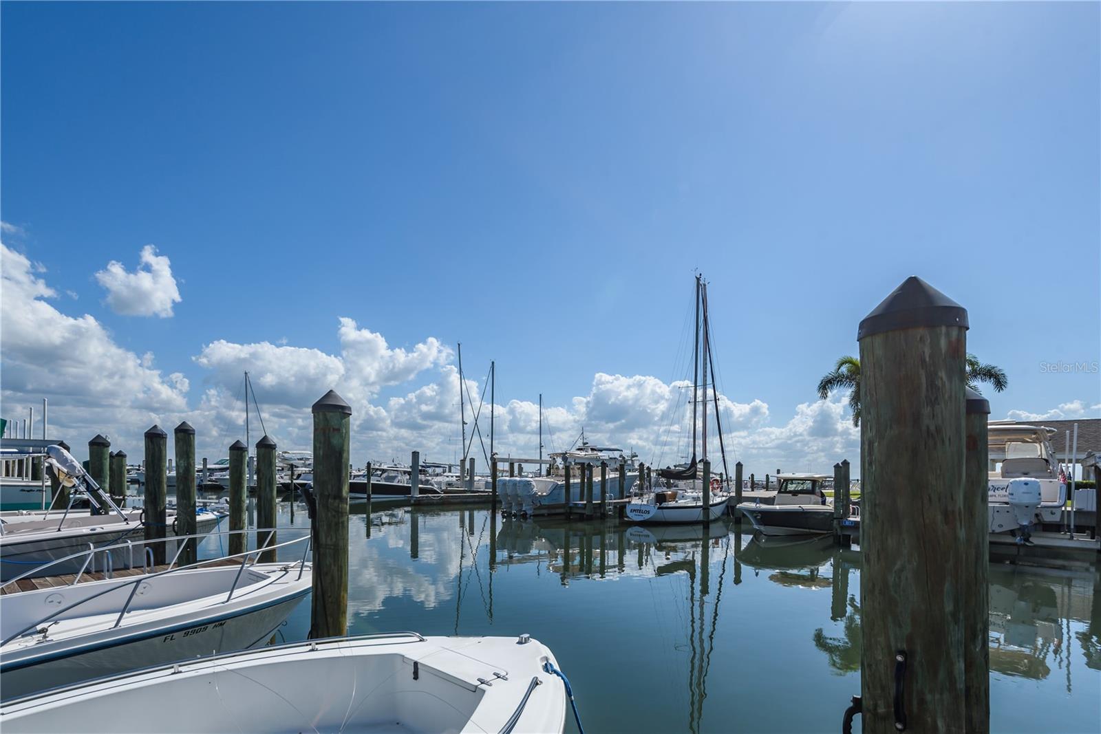 Listing photo id 27 for 6210 Bayshore Boulevard