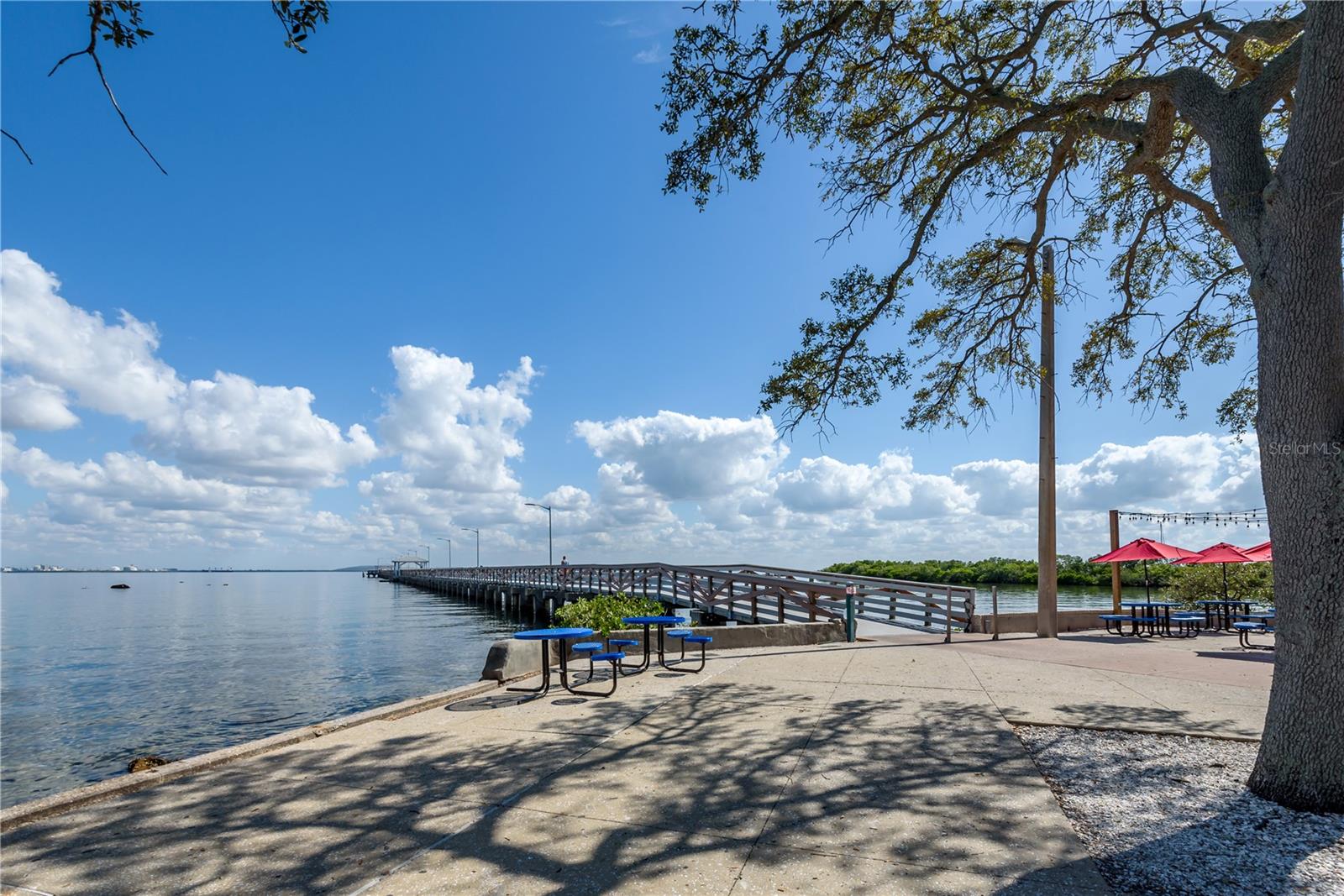 Listing photo id 30 for 6210 Bayshore Boulevard