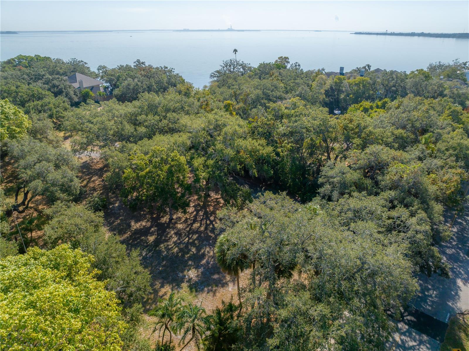 Listing photo id 42 for 6210 Bayshore Boulevard