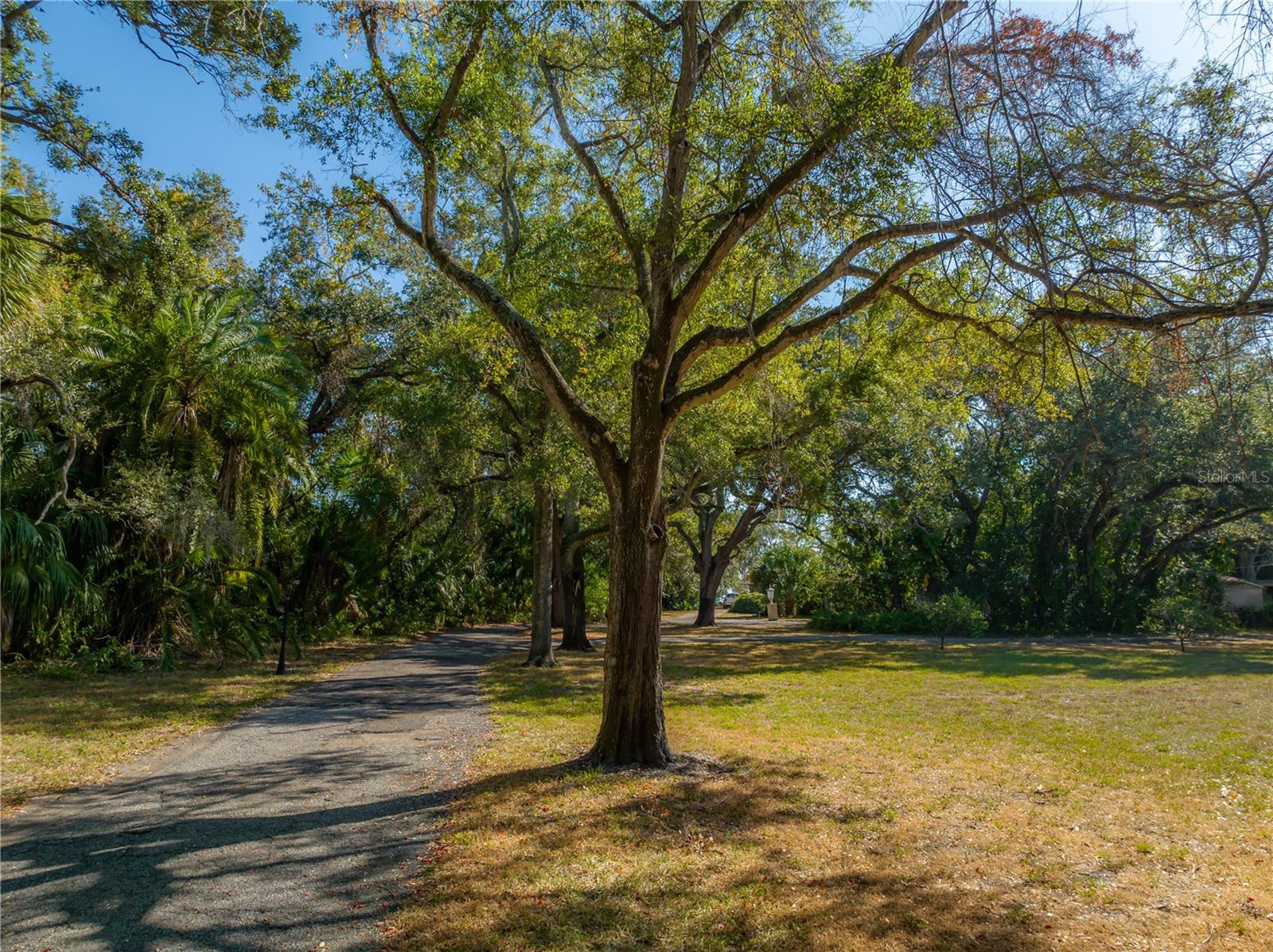 Image 49 of 69 For 6210 Bayshore Boulevard