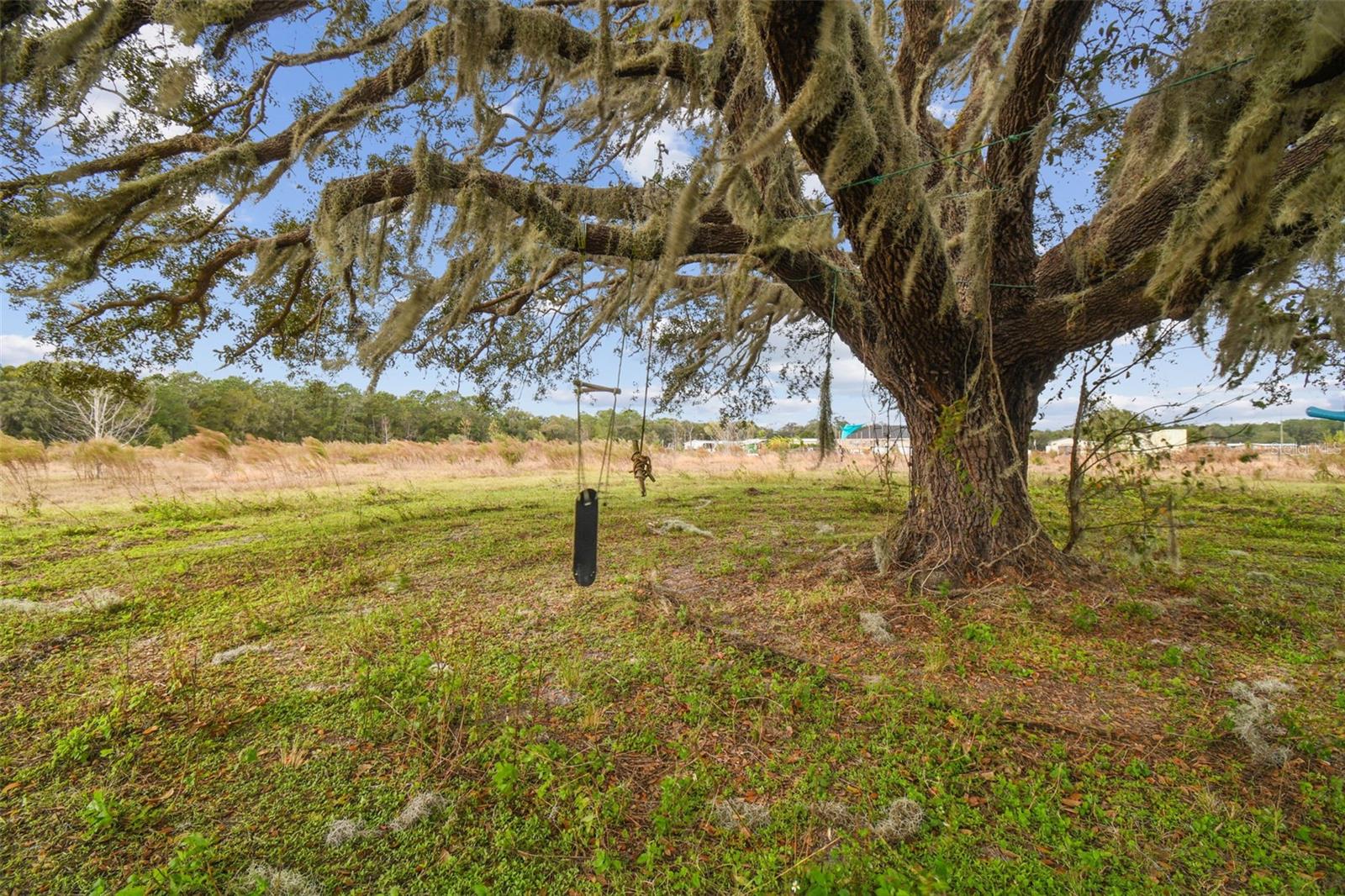 Image 15 of 25 For 000 Rustling Wind Road