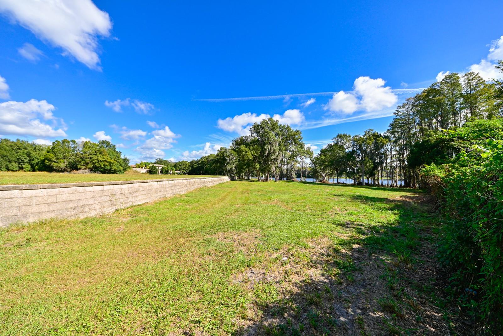 Image 9 of 14 For 105 Bellamere Palms Court