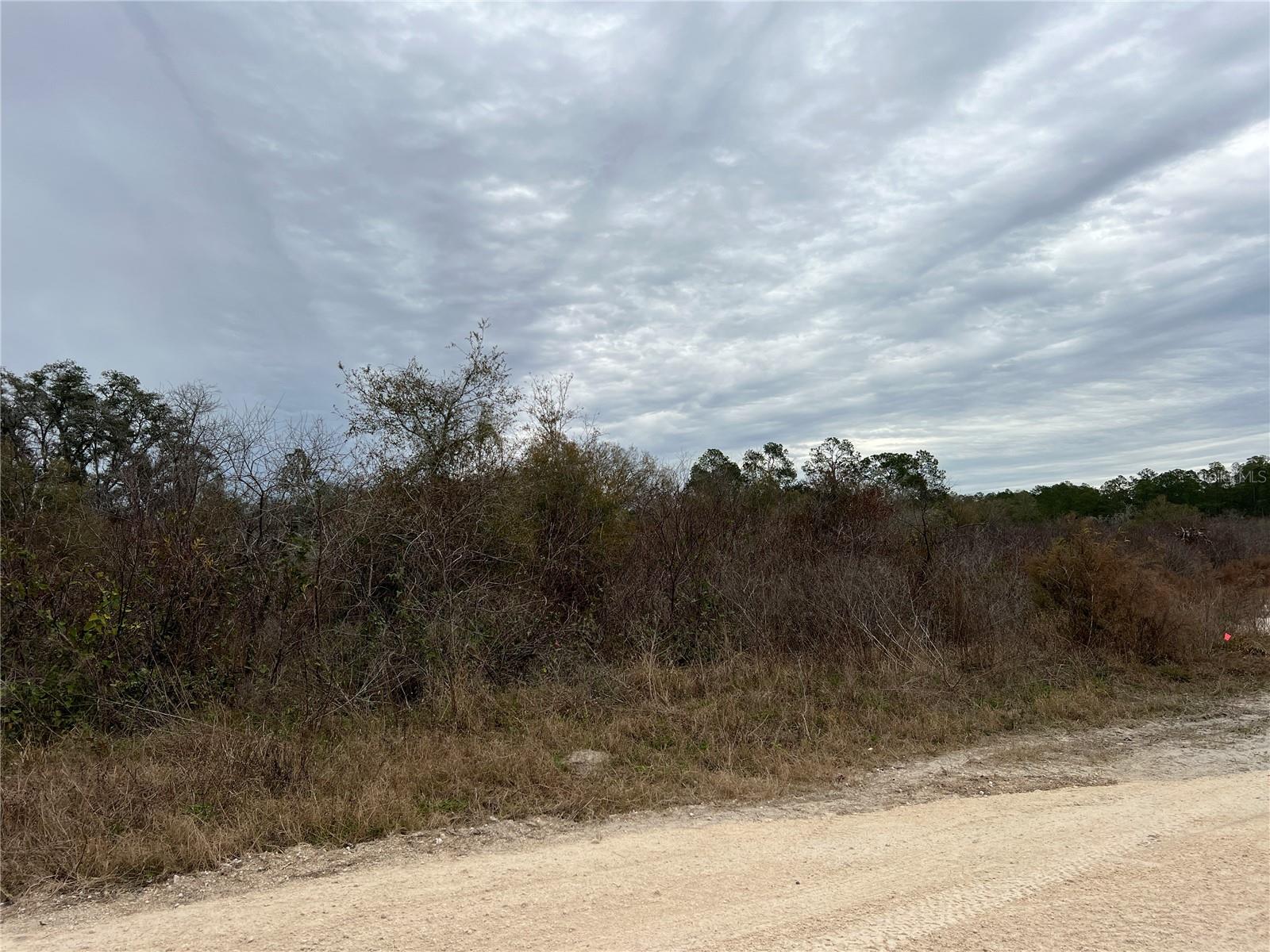 Image 8 of 49 For 34023 Coral Rock Drive