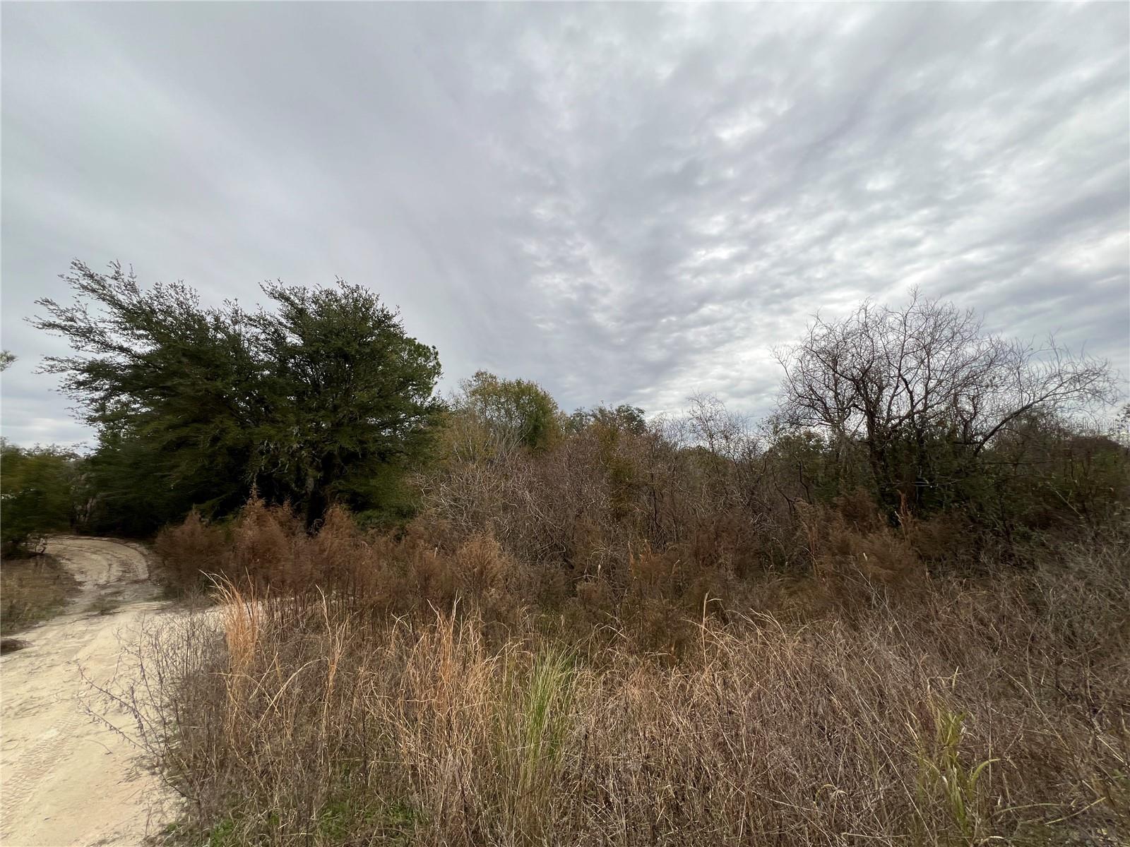 Image 9 of 49 For 34023 Coral Rock Drive