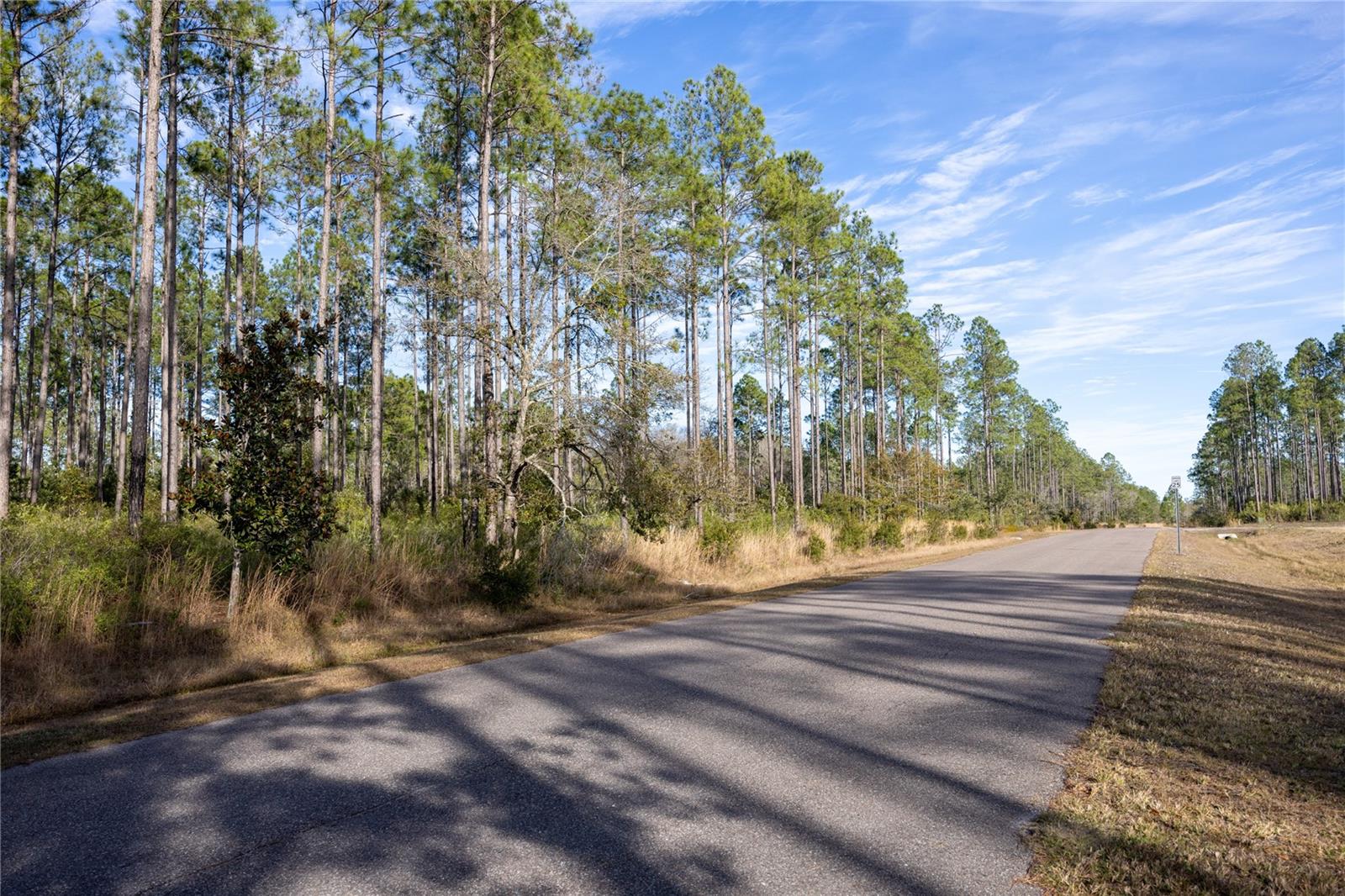 Image 5 of 10 For County Road 1469