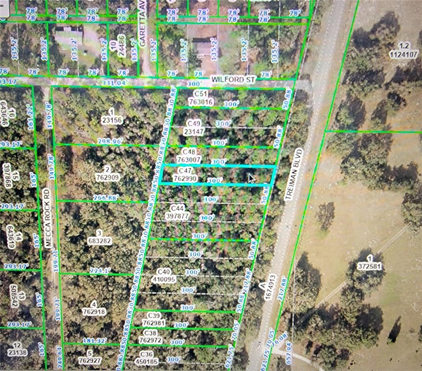 Listing Details for Treiman Boulevard, WEBSTER, FL 33597