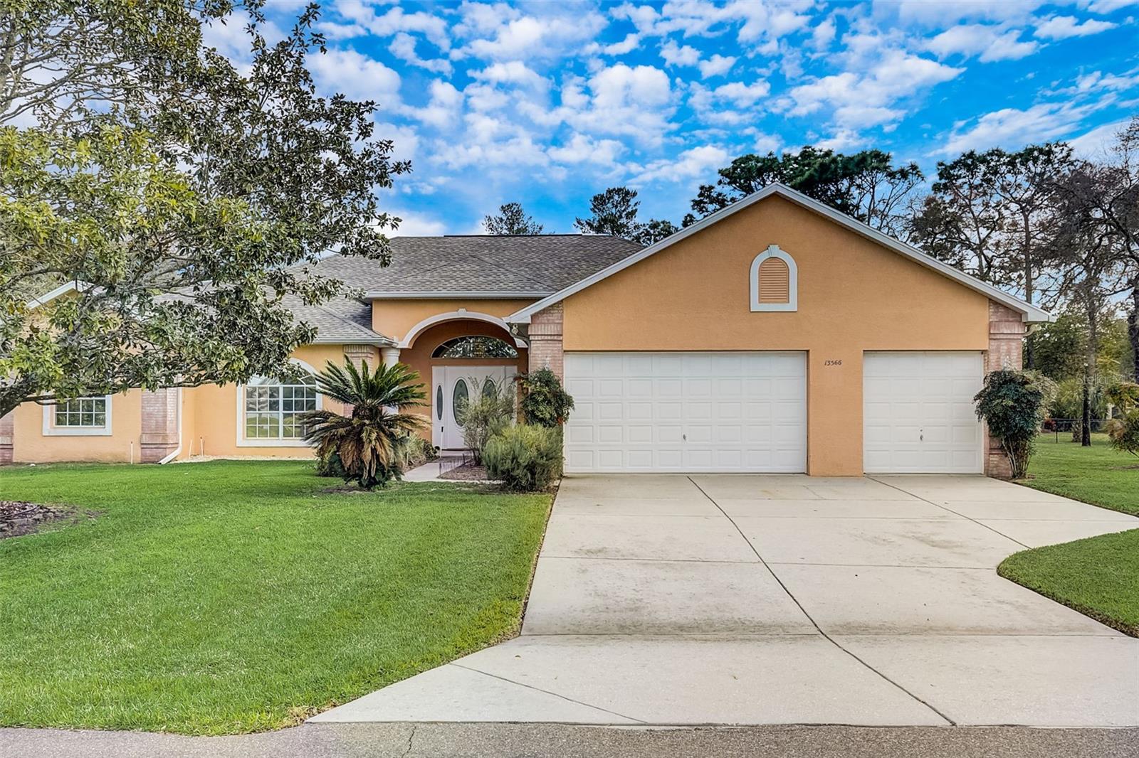 Details for 13566 Rudi Loop, SPRING HILL, FL 34609