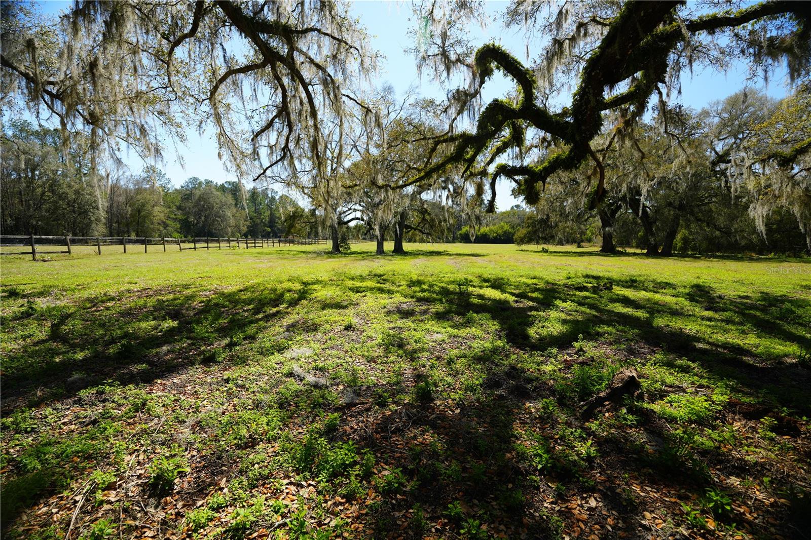 Listing photo id 9 for 19058 Wiscon Road