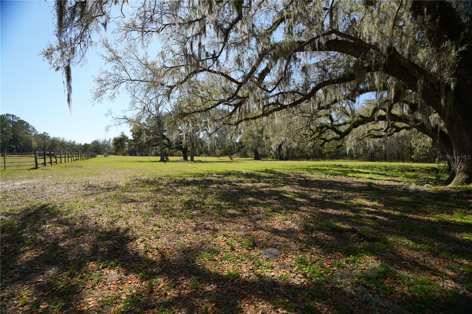 Listing photo id 10 for 19058 Wiscon Road