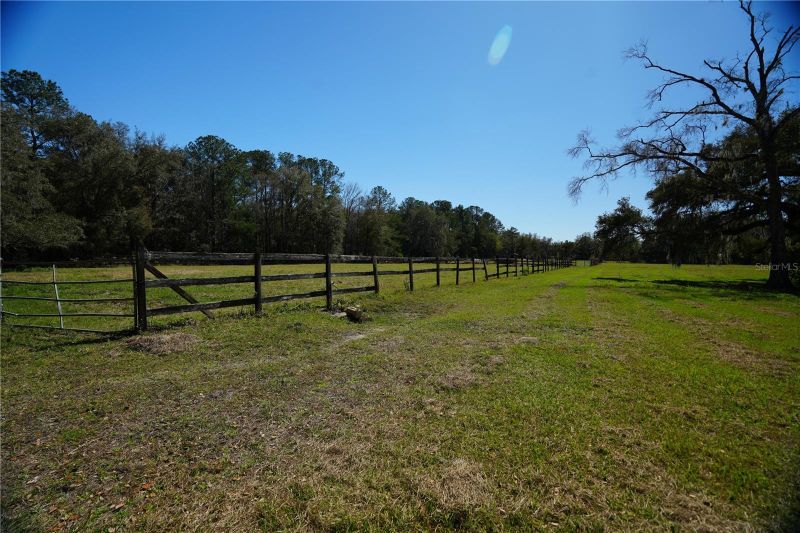 Listing photo id 12 for 19058 Wiscon Road