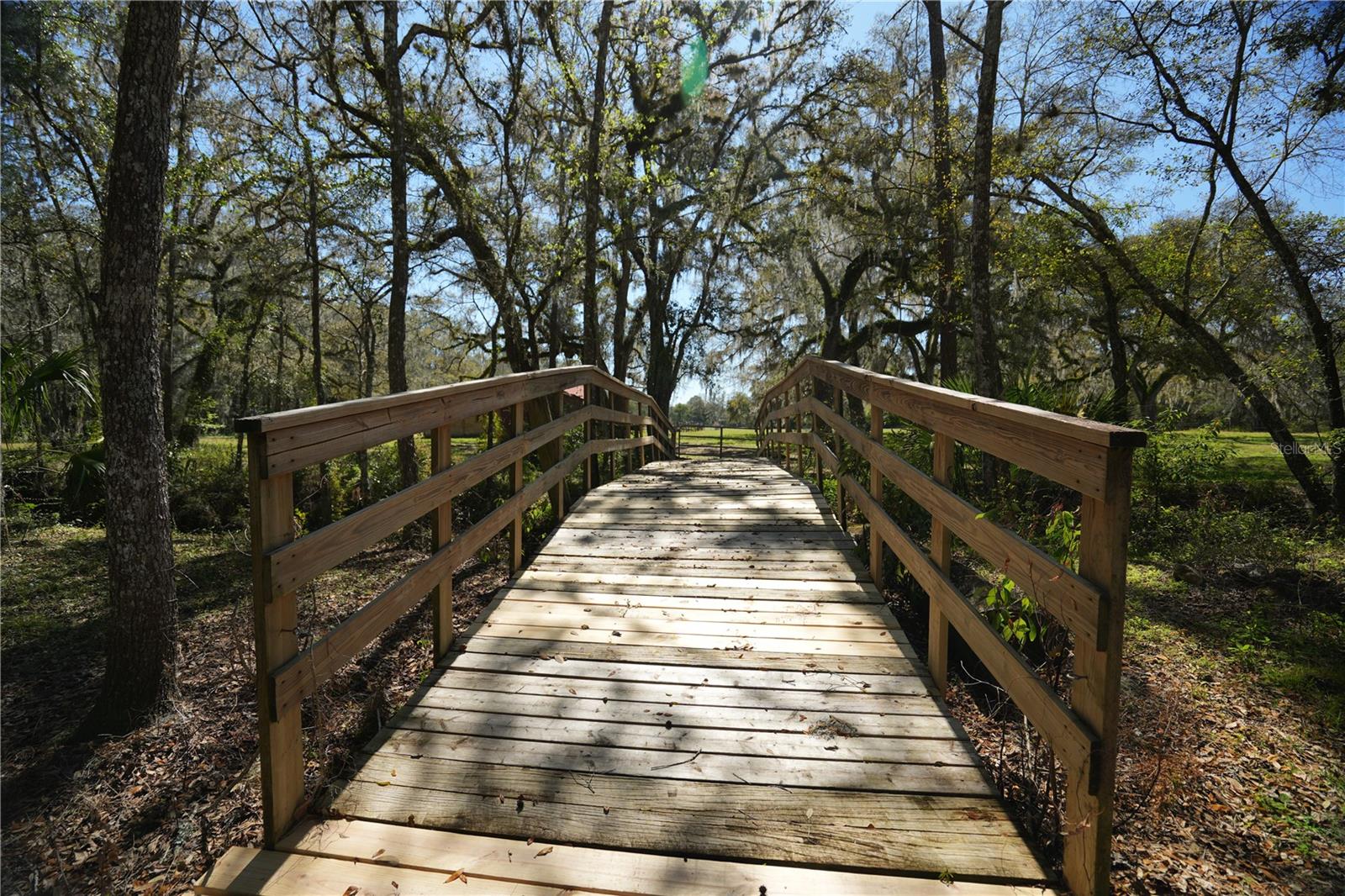 Listing photo id 28 for 19058 Wiscon Road