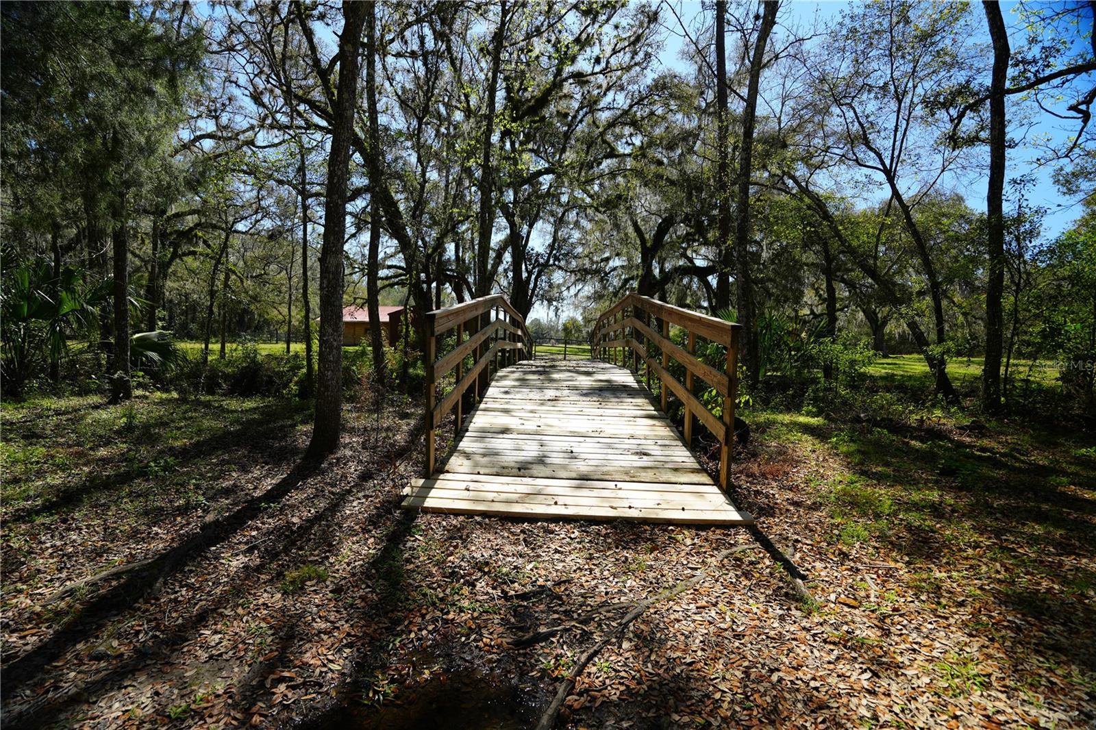 Listing photo id 29 for 19058 Wiscon Road