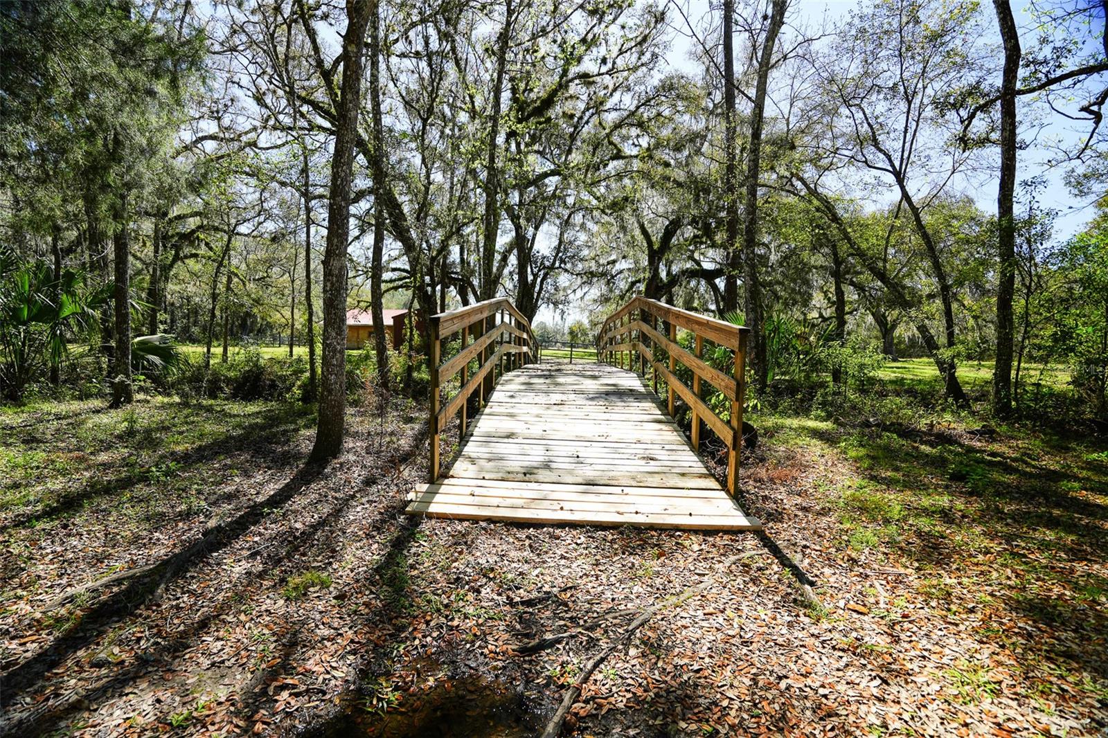 Listing photo id 51 for 19058 Wiscon Road