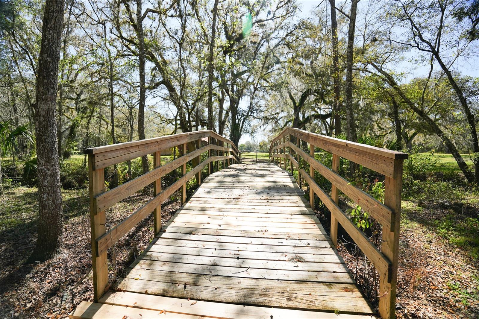 Listing photo id 52 for 19058 Wiscon Road