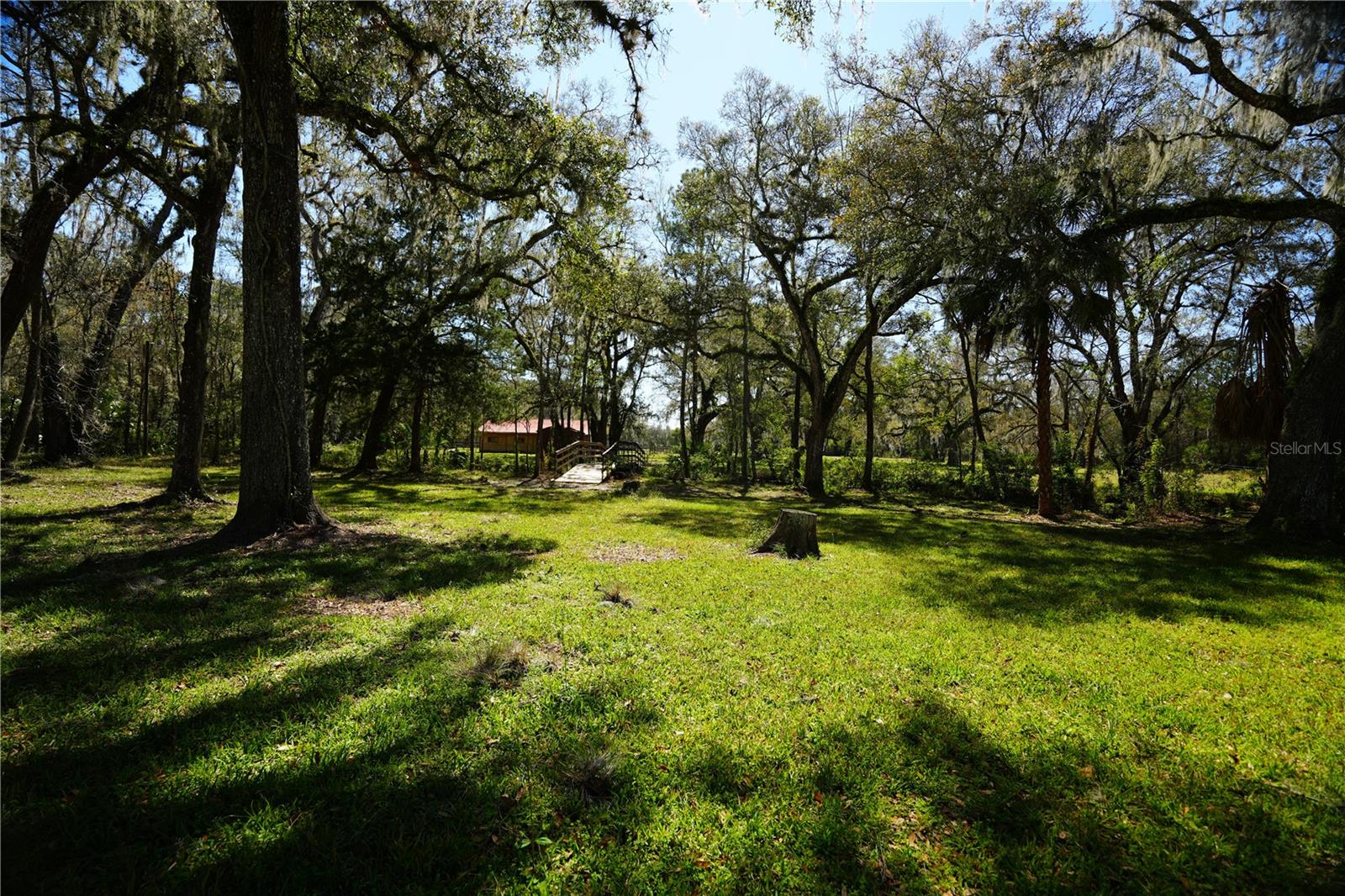 Listing photo id 53 for 19058 Wiscon Road