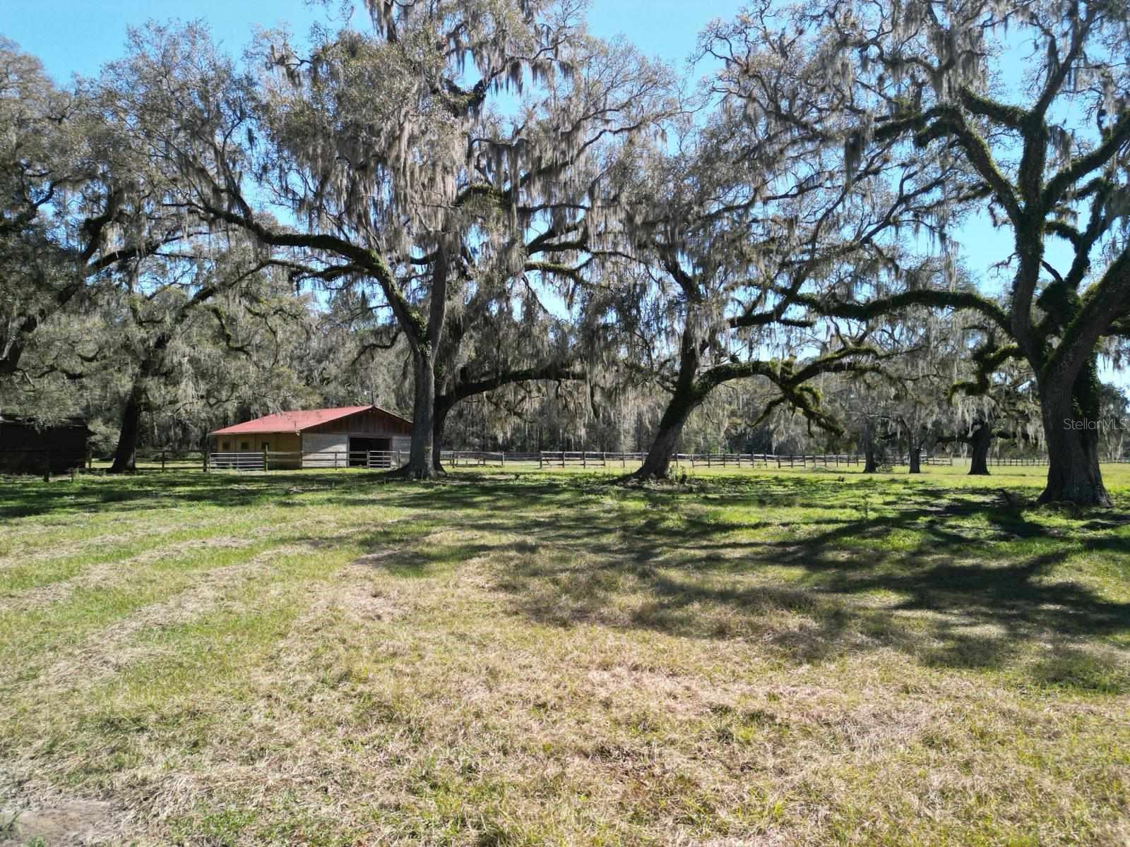 Listing photo id 54 for 19058 Wiscon Road