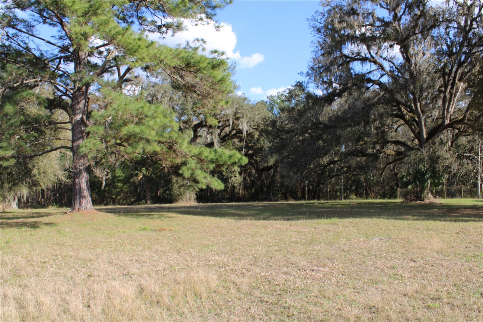 Listing photo id 55 for 19058 Wiscon Road