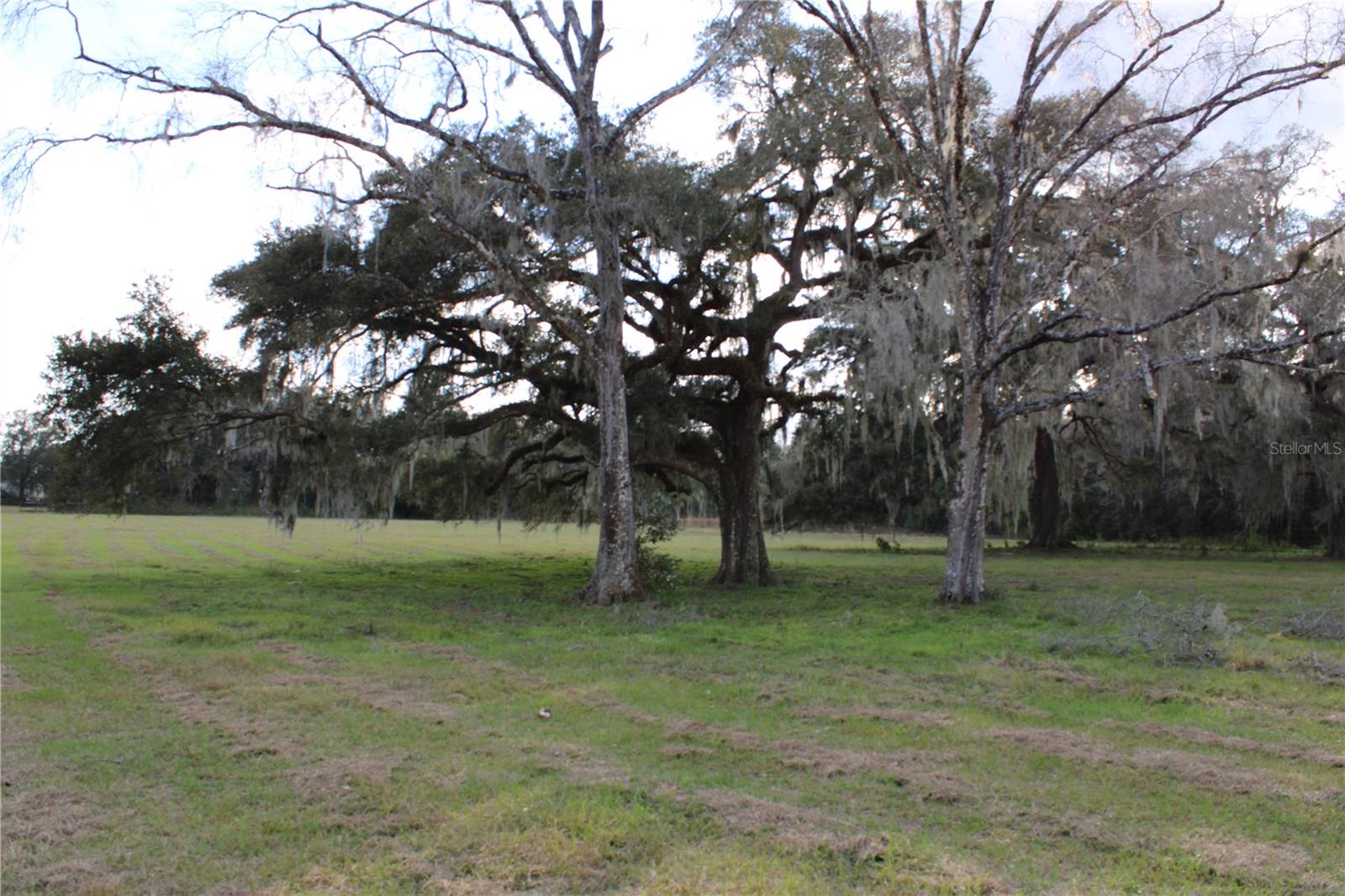 Listing photo id 59 for 19058 Wiscon Road