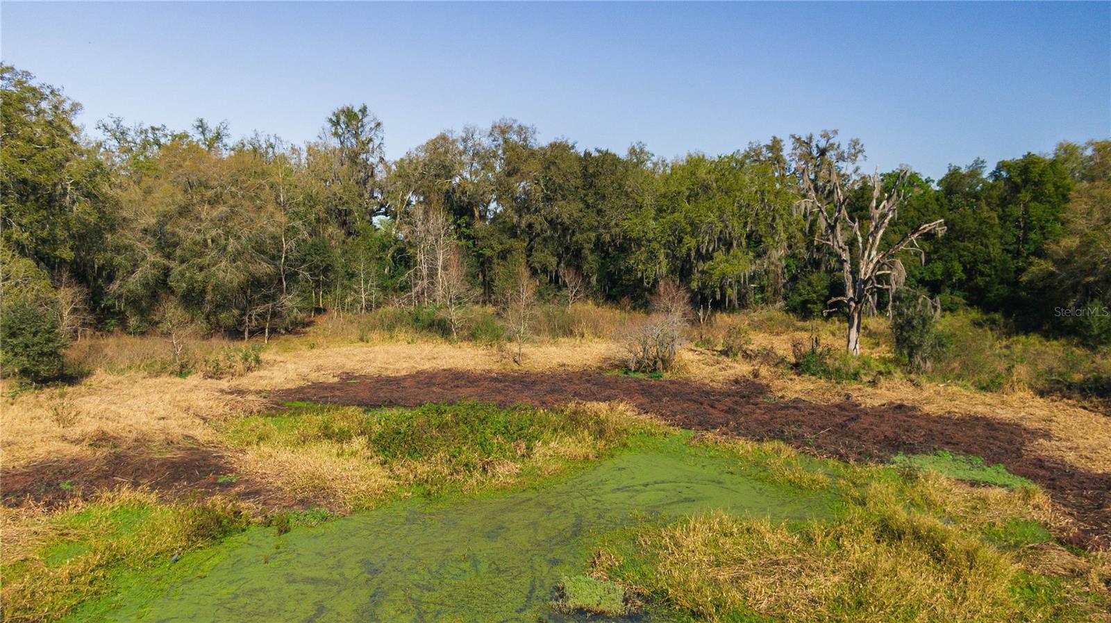 Image 8 of 15 For 4711 Moores Lake Road