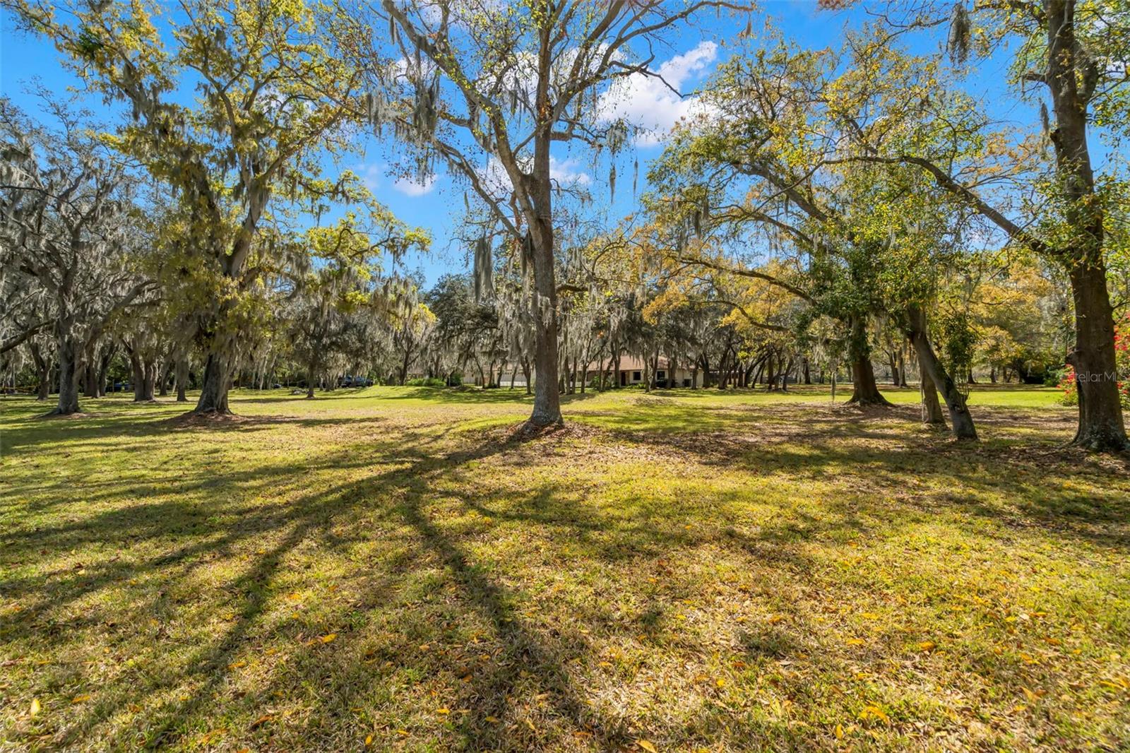 Listing photo id 56 for 6718 Watson Road