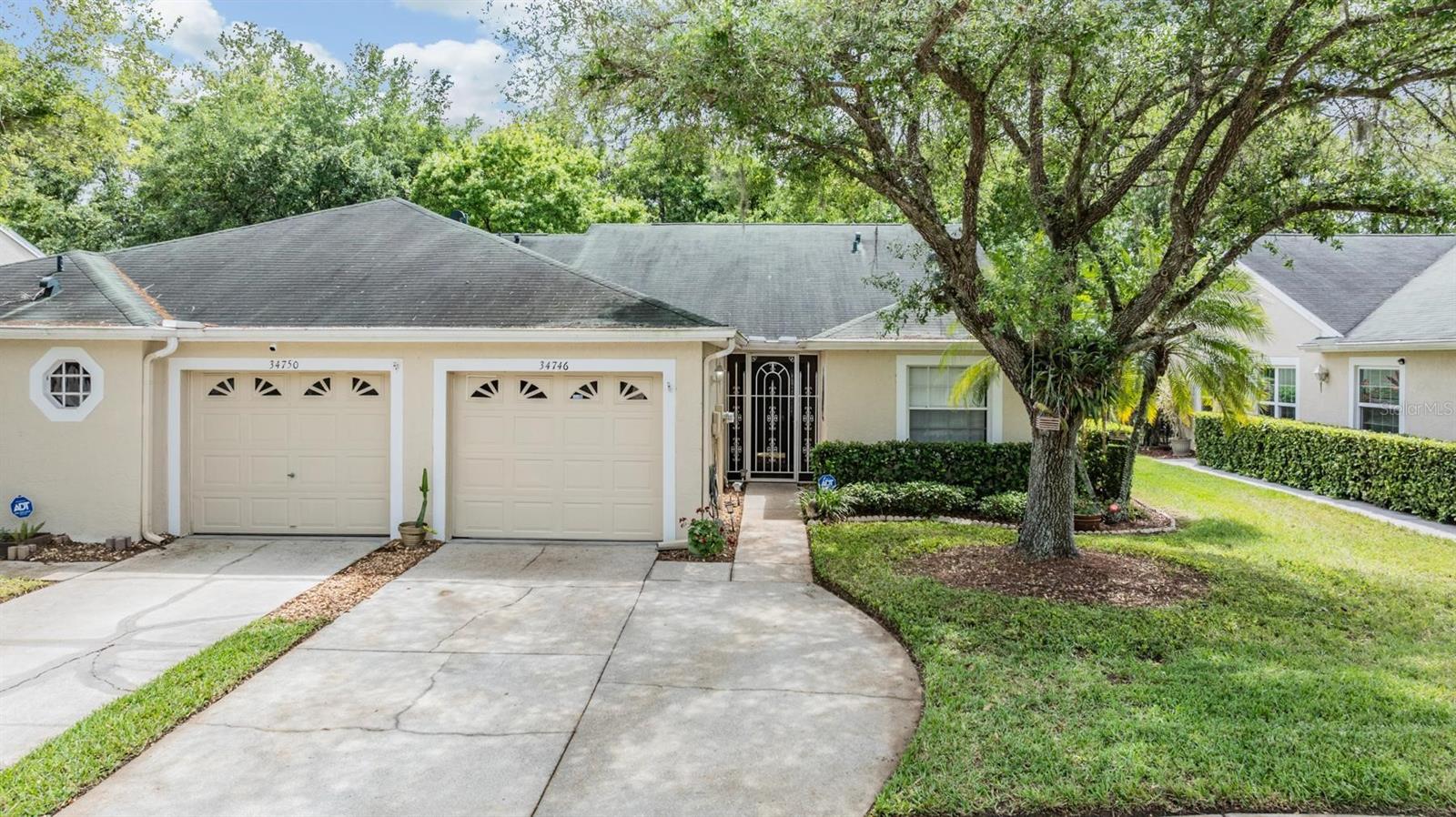 Listing photo id 1 for 34746 Double Eagle Court