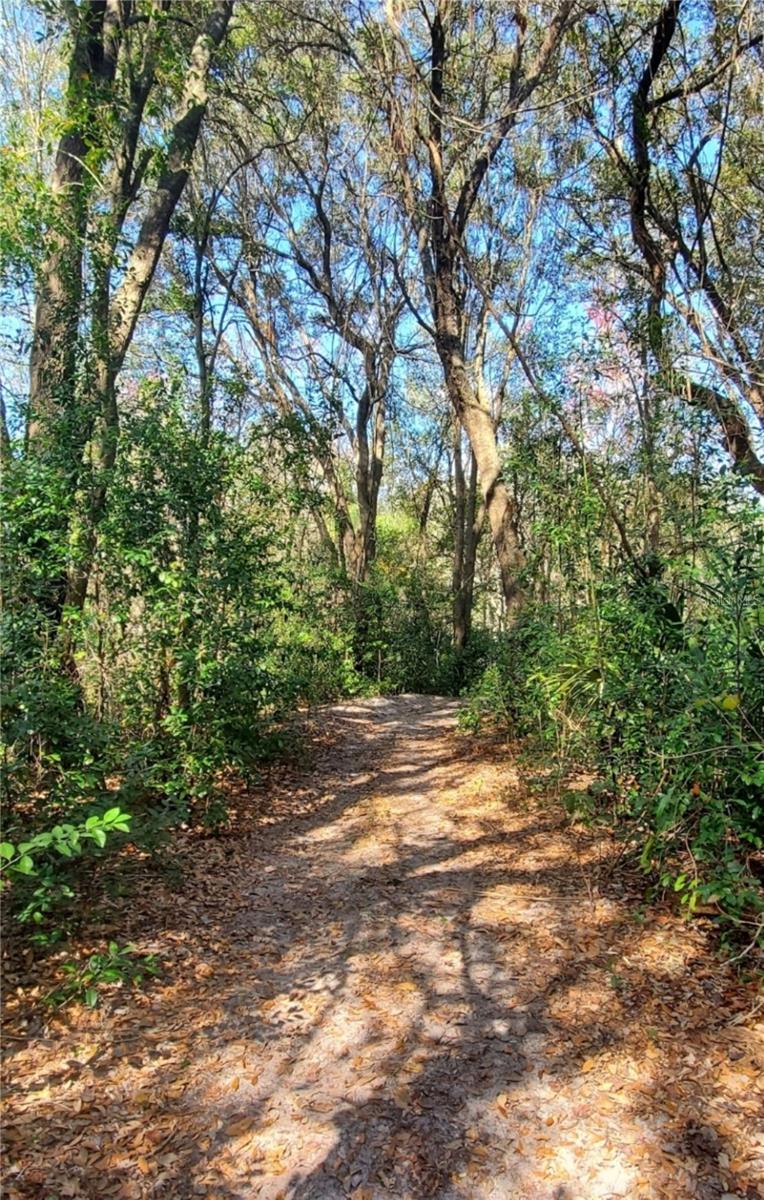 Image 69 of 77 For 6615 Ridge Top Drive