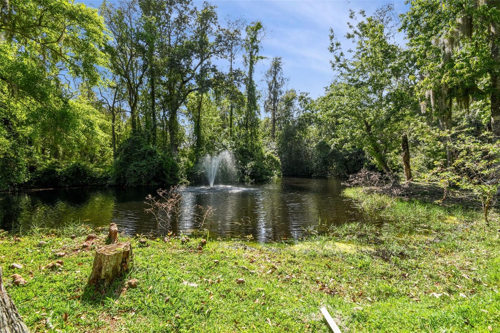 Listing photo id 57 for 249 Dogwood Trace