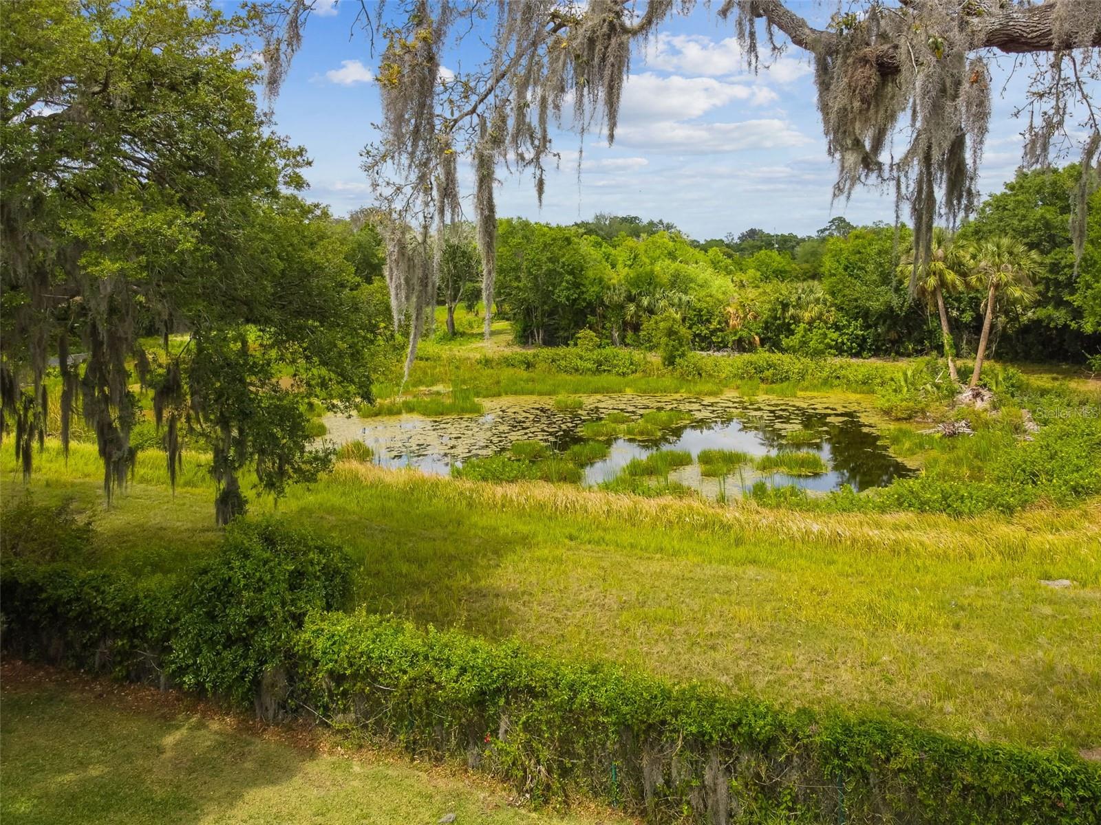 Listing photo id 77 for 125 Falling Water Drive