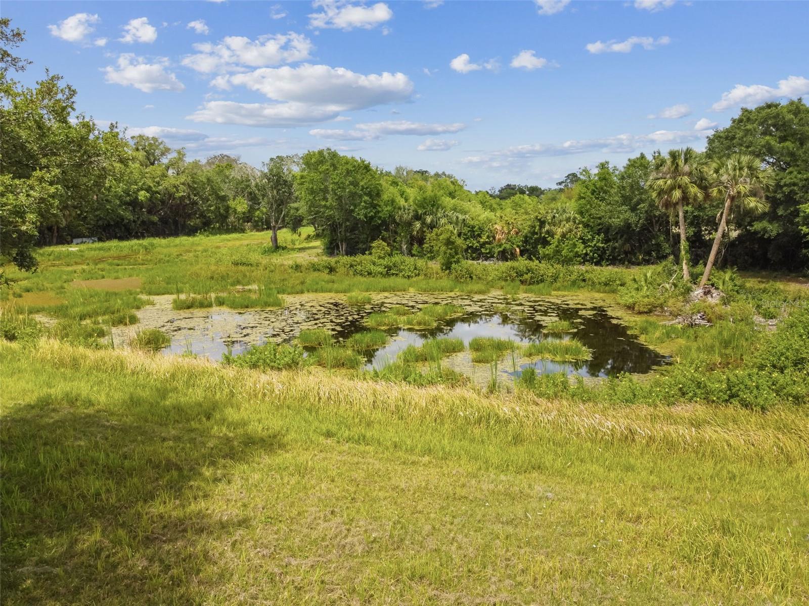 Listing photo id 78 for 125 Falling Water Drive