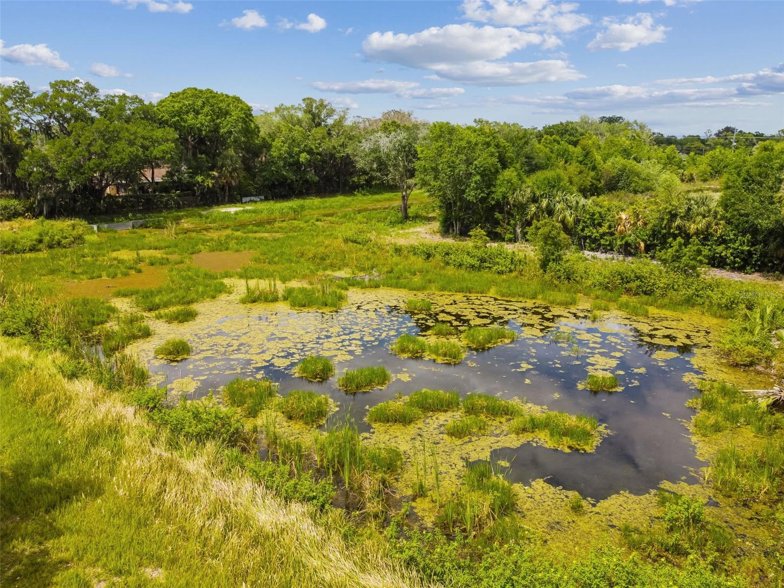 Listing photo id 79 for 125 Falling Water Drive